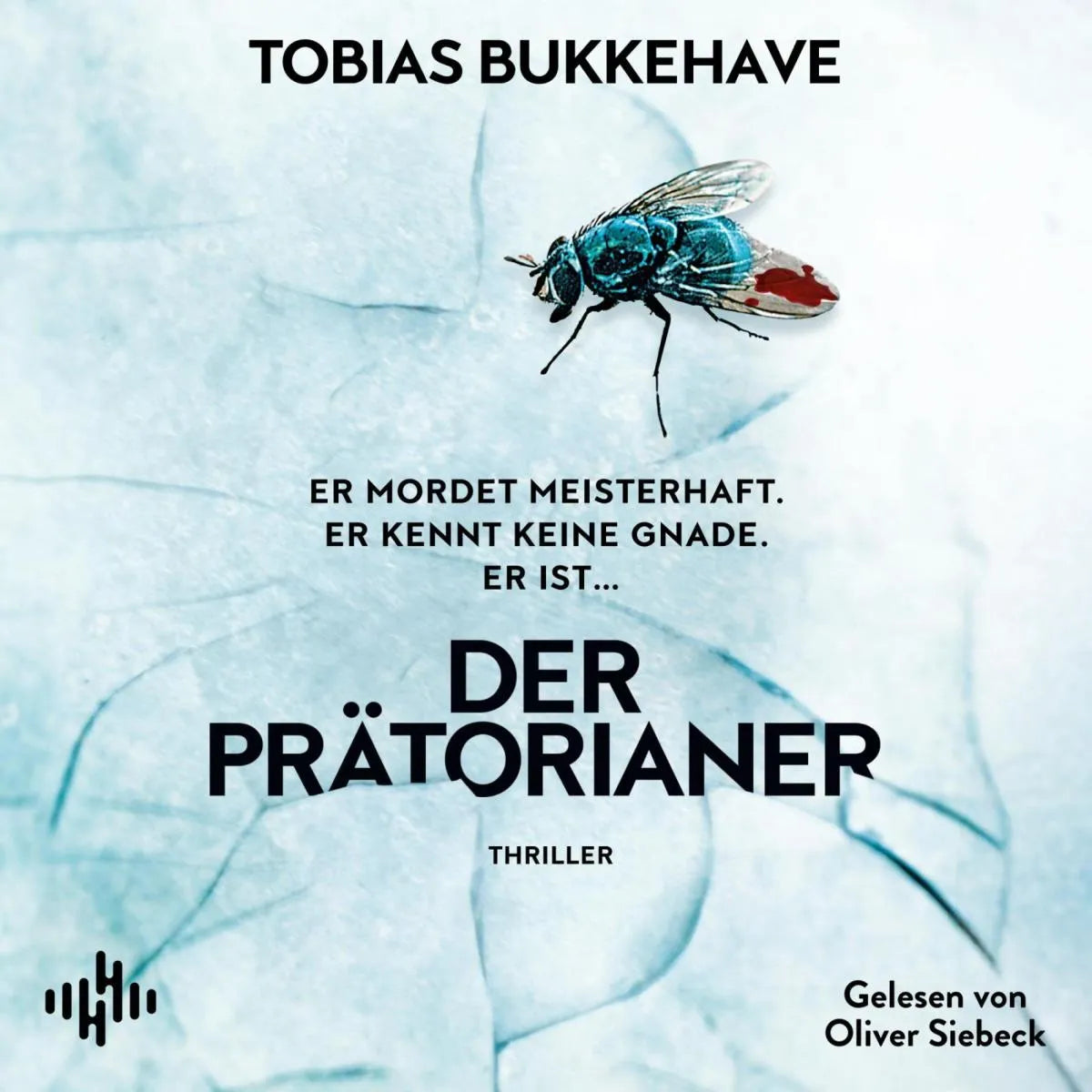 Cover: Der Prätorianer (Hörbuch Download) von Tobias Bukkehave