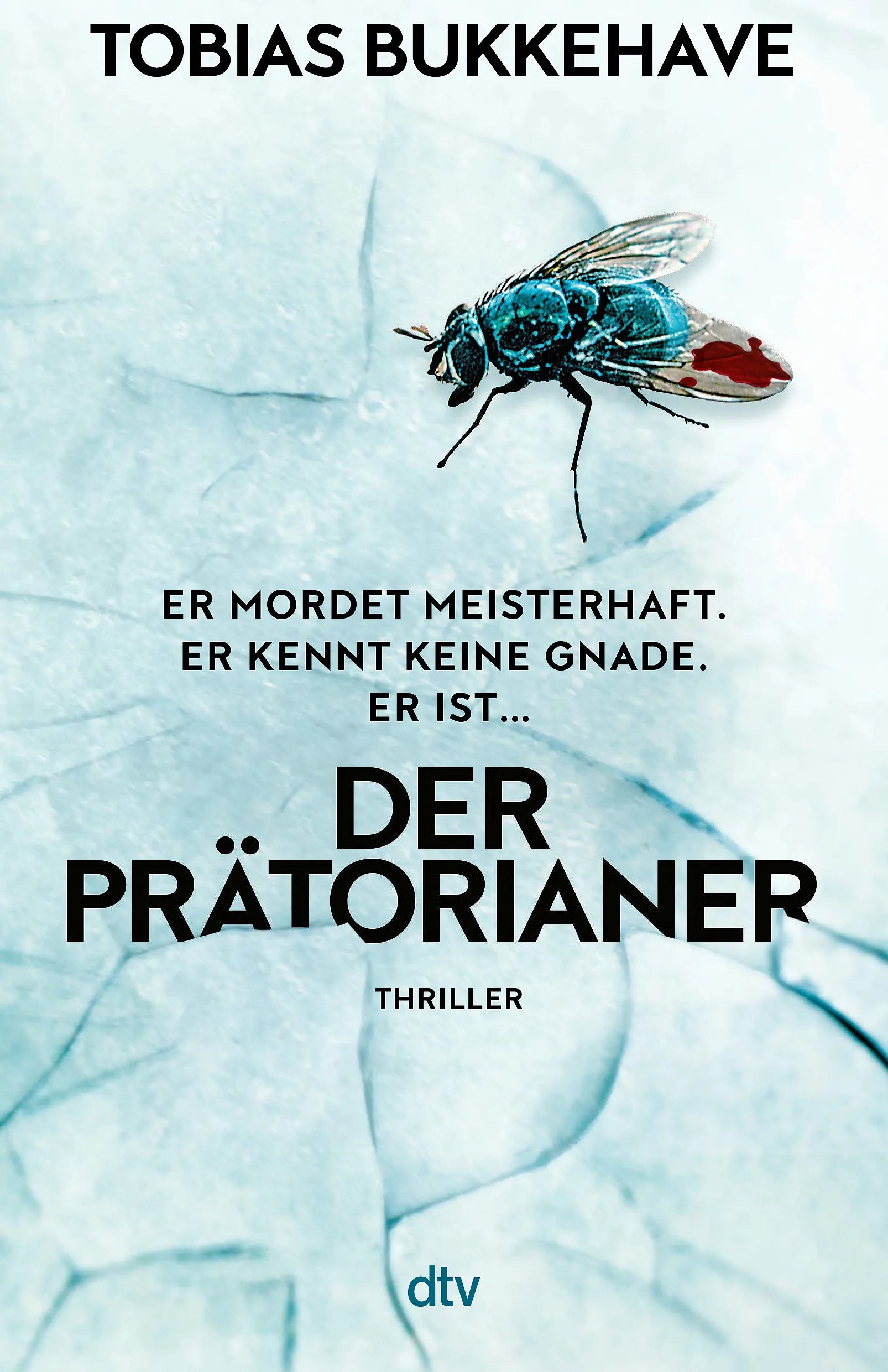 Cover: Der Prätorianer (Paperback) von Tobias Bukkehave