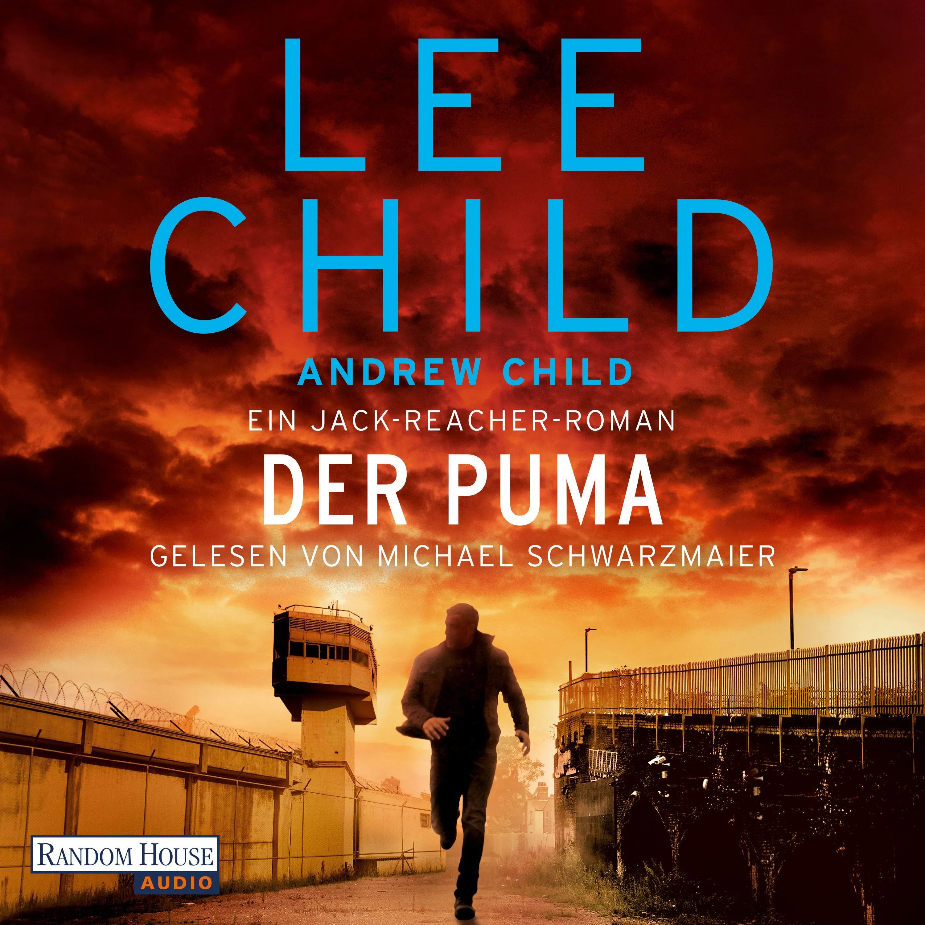 Cover: Der Puma (Hörbuch Download) von Lee Child