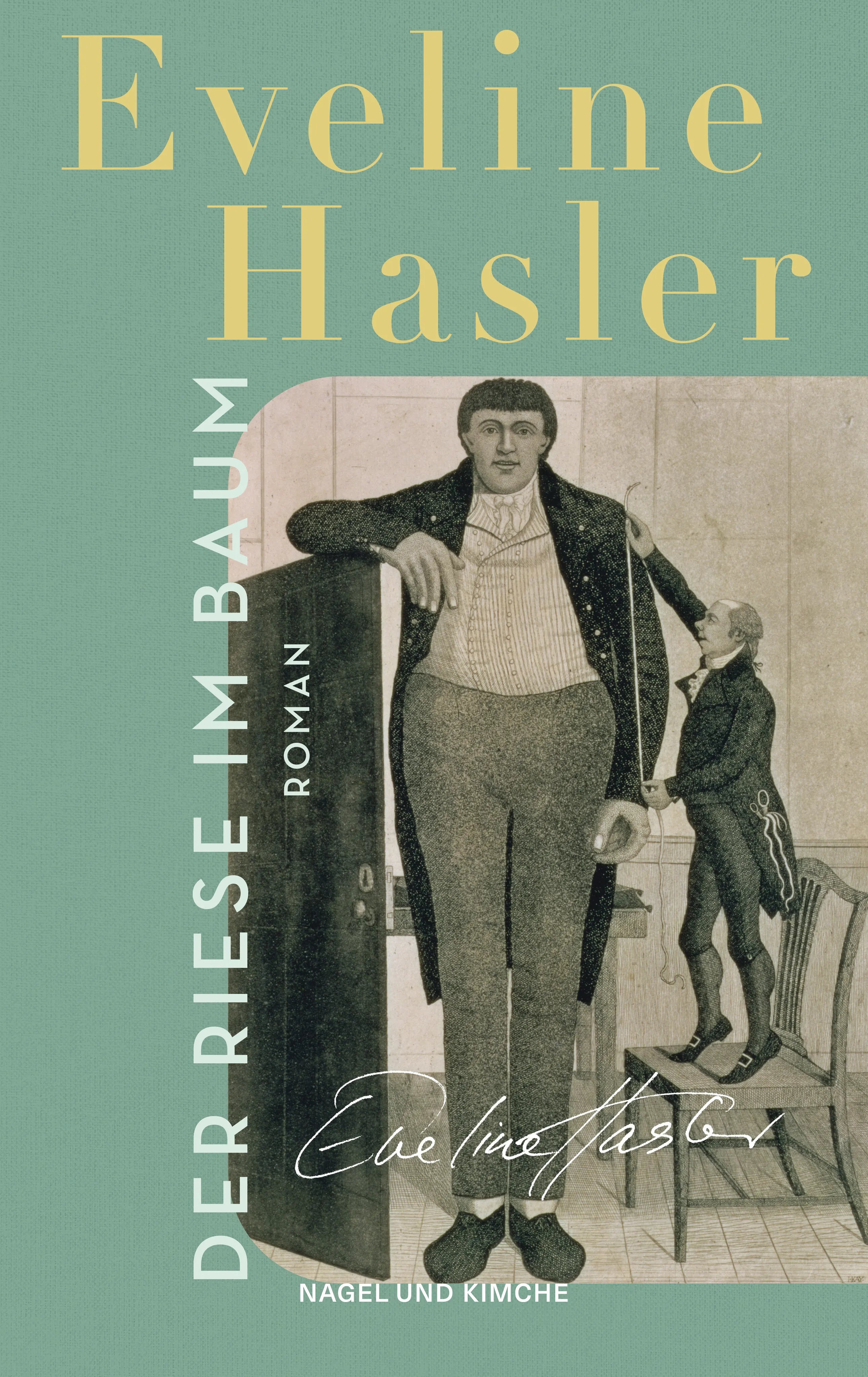 Buchcover von 'Der Riese im Baum' - Taschenbuch von Eveline Hasler