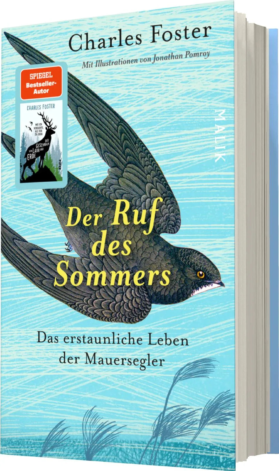 Charles Foster - Der Ruf des Sommers