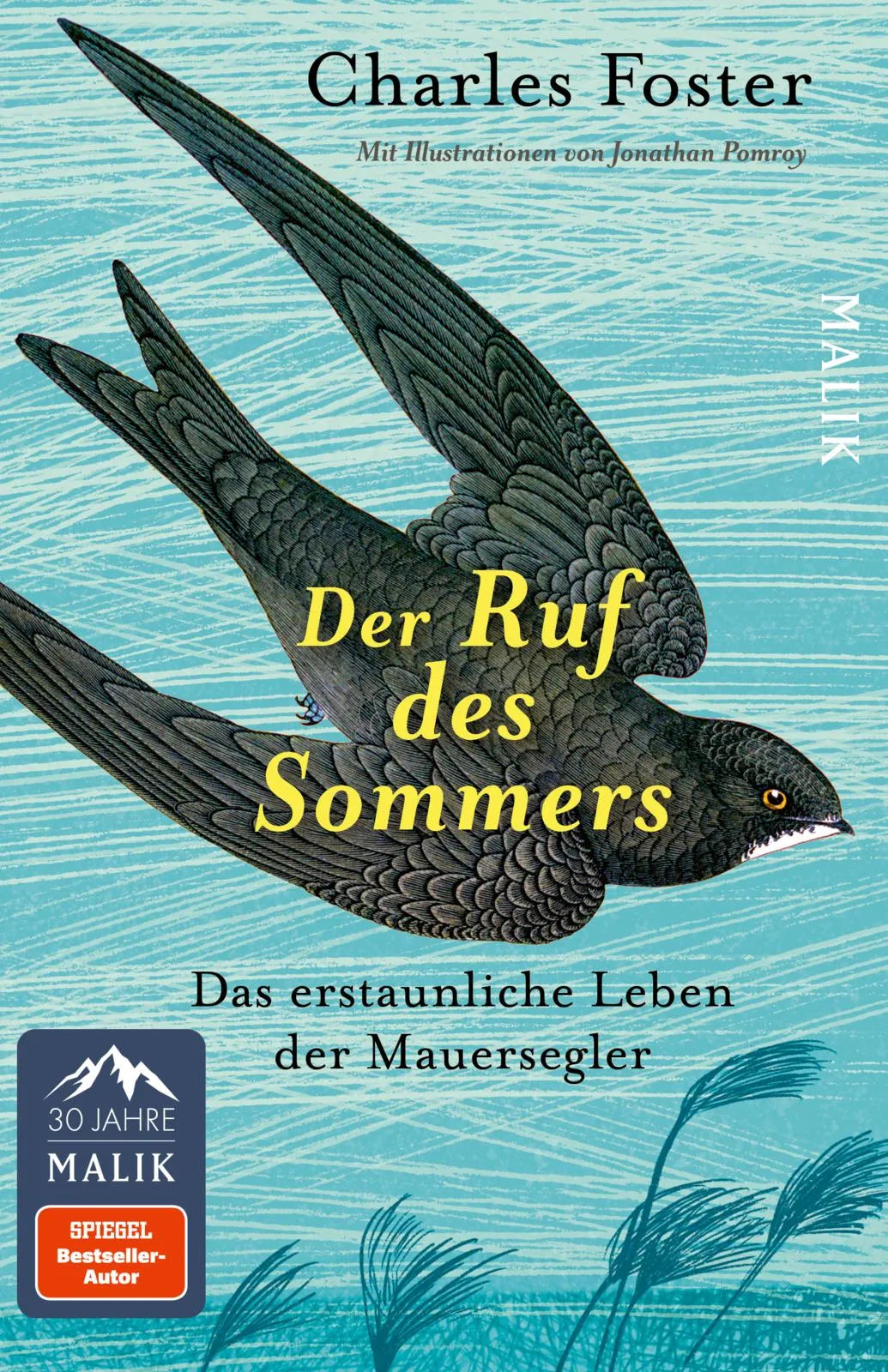Buchcover von 'Der Ruf des Sommers' - Taschenbuch von Charles Foster