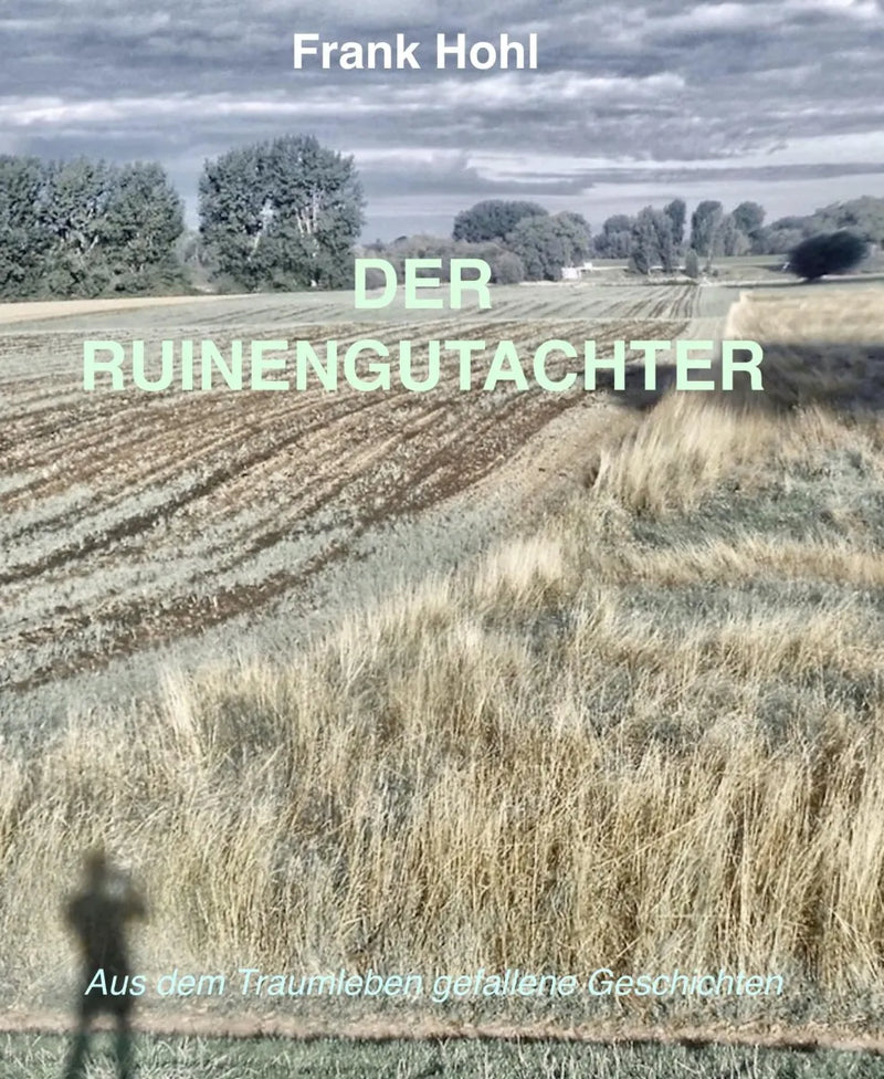 Der Ruinengutachter