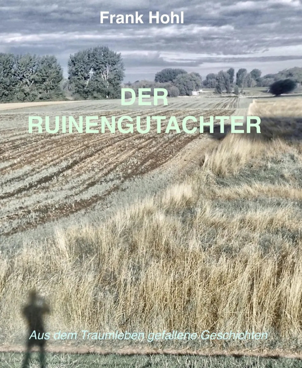 Cover: Der Ruinengutachter (E-Book) von Frank Hohl