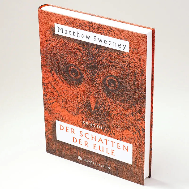 Matthew Sweeney - Der Schatten der Eule