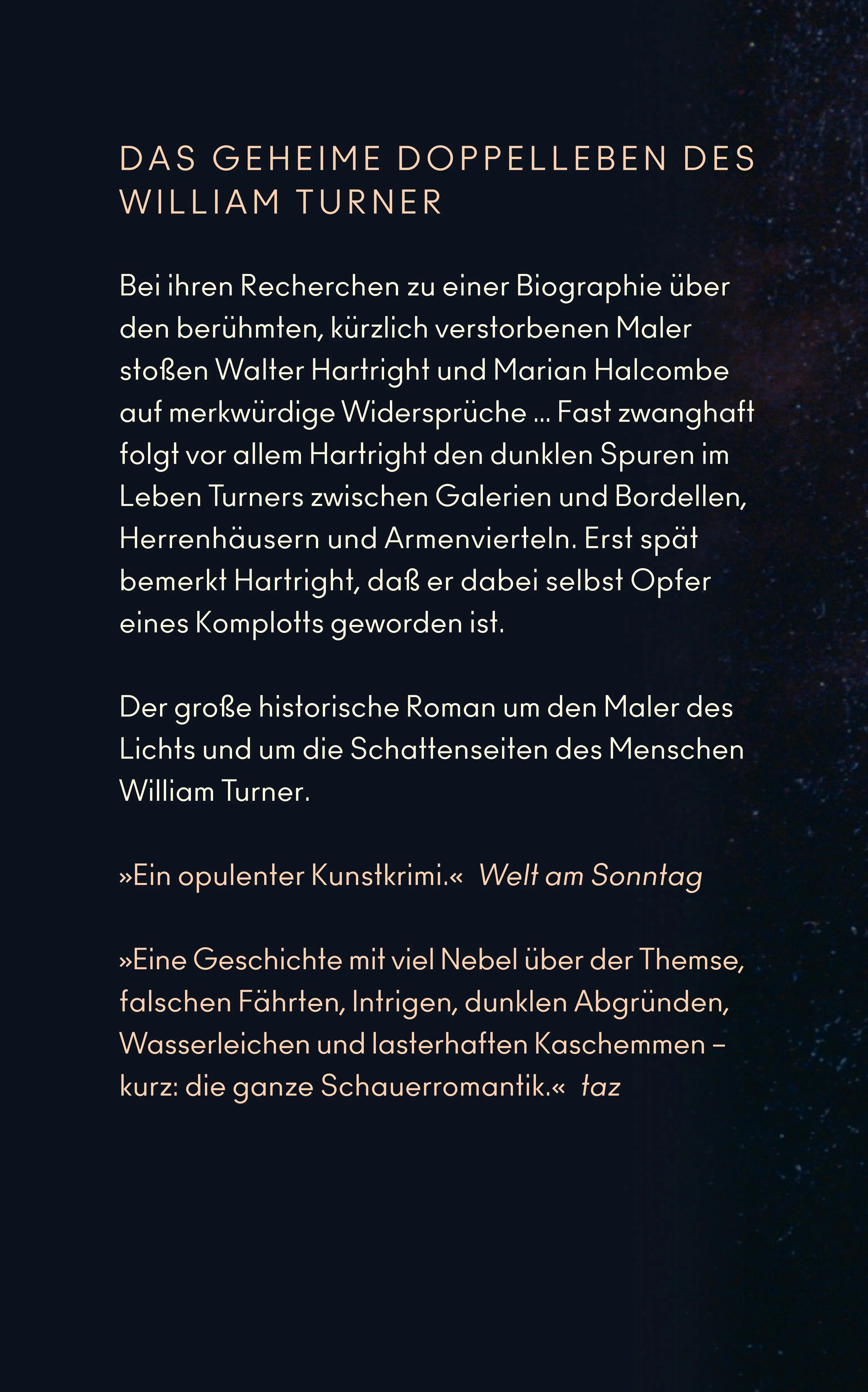 Buchrückseite von 'Der Schatten des Malers' mit Klappentext - Paperback