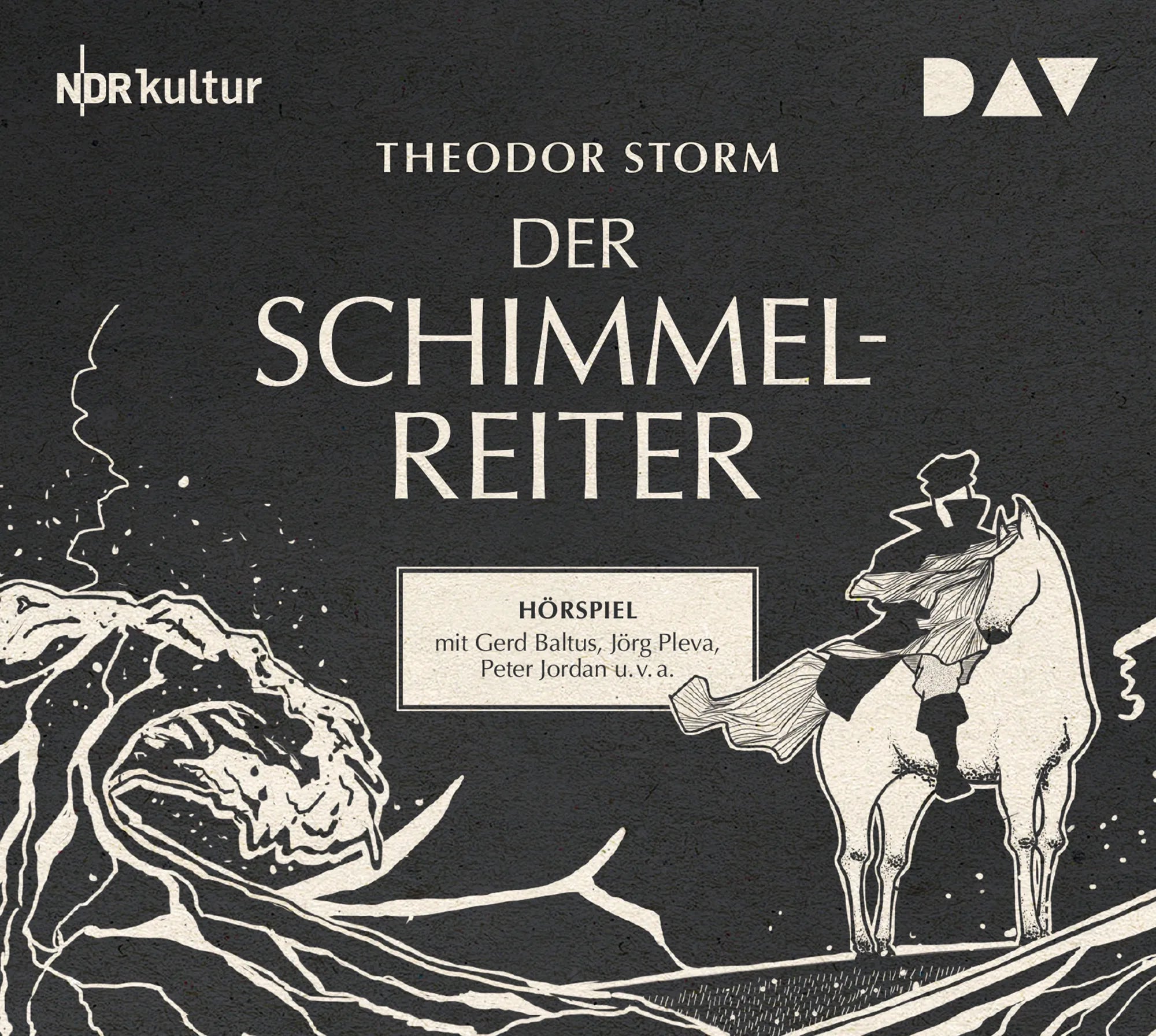 Buchcover von 'Der Schimmelreiter' - Hörbuch (CD) von Theodor Storm