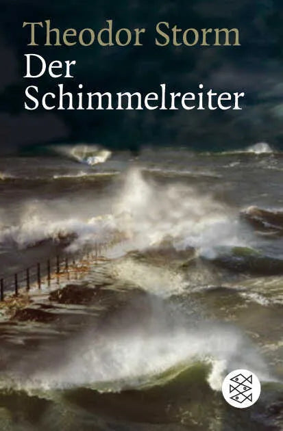 Buchcover von 'Der Schimmelreiter' - Taschenbuch von Theodor Storm