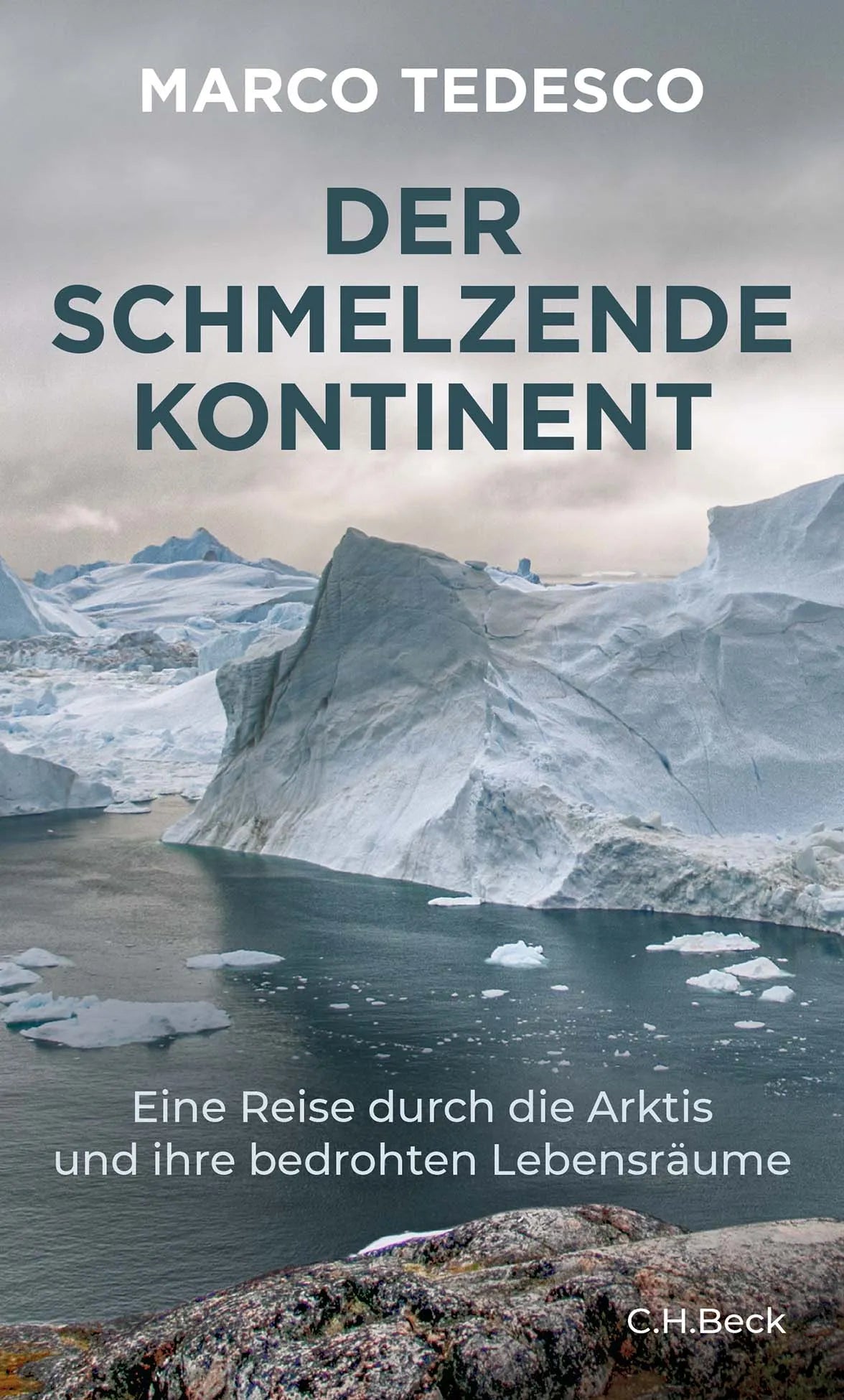 Buchcover von 'Der schmelzende Kontinent' - Gebundene Ausgabe von Marco Tedesco