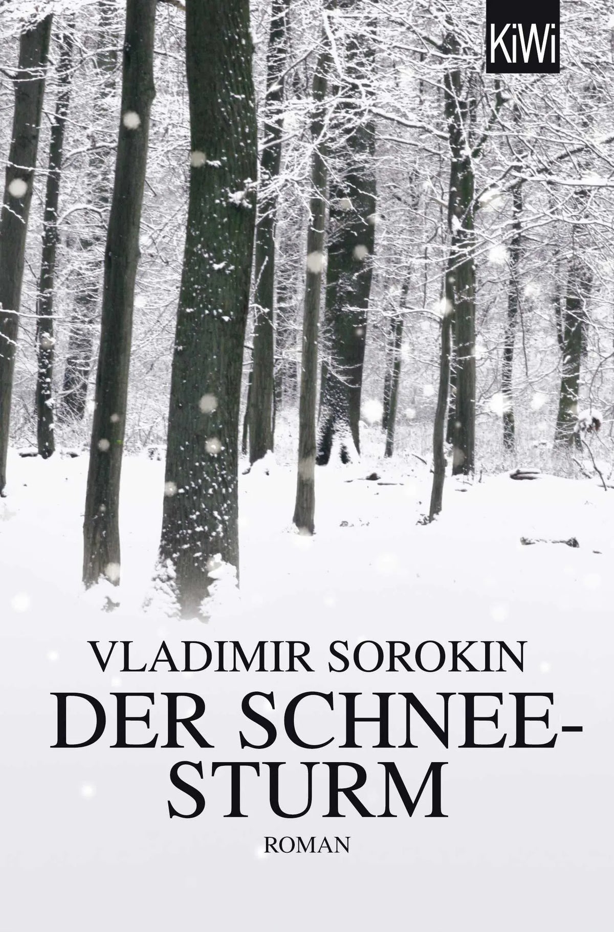 Buchcover von 'Der Schneesturm' - Taschenbuch von Vladimir Sorokin