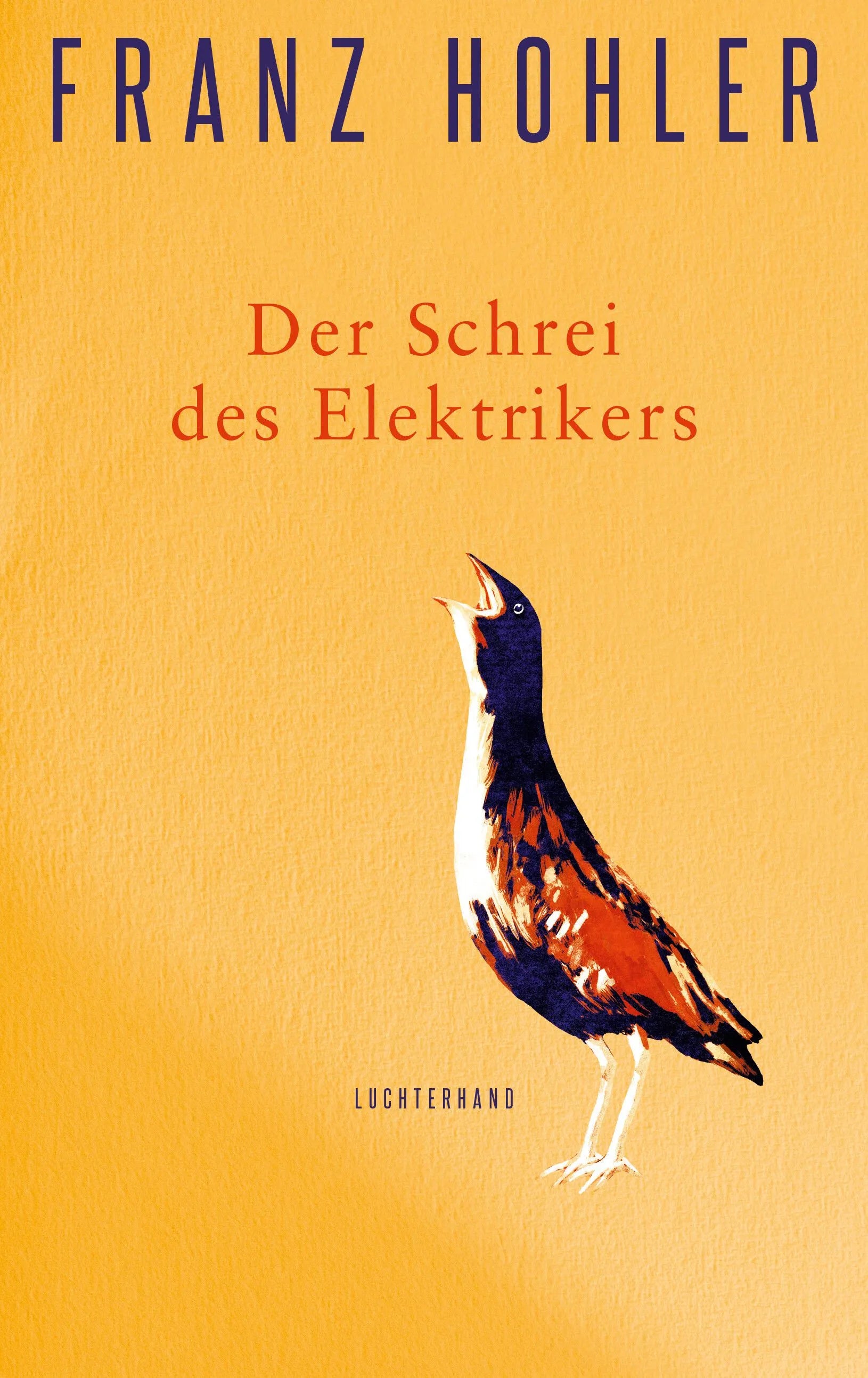 Cover: Der Schrei des Elektrikers (Hardcover) von Franz Hohler