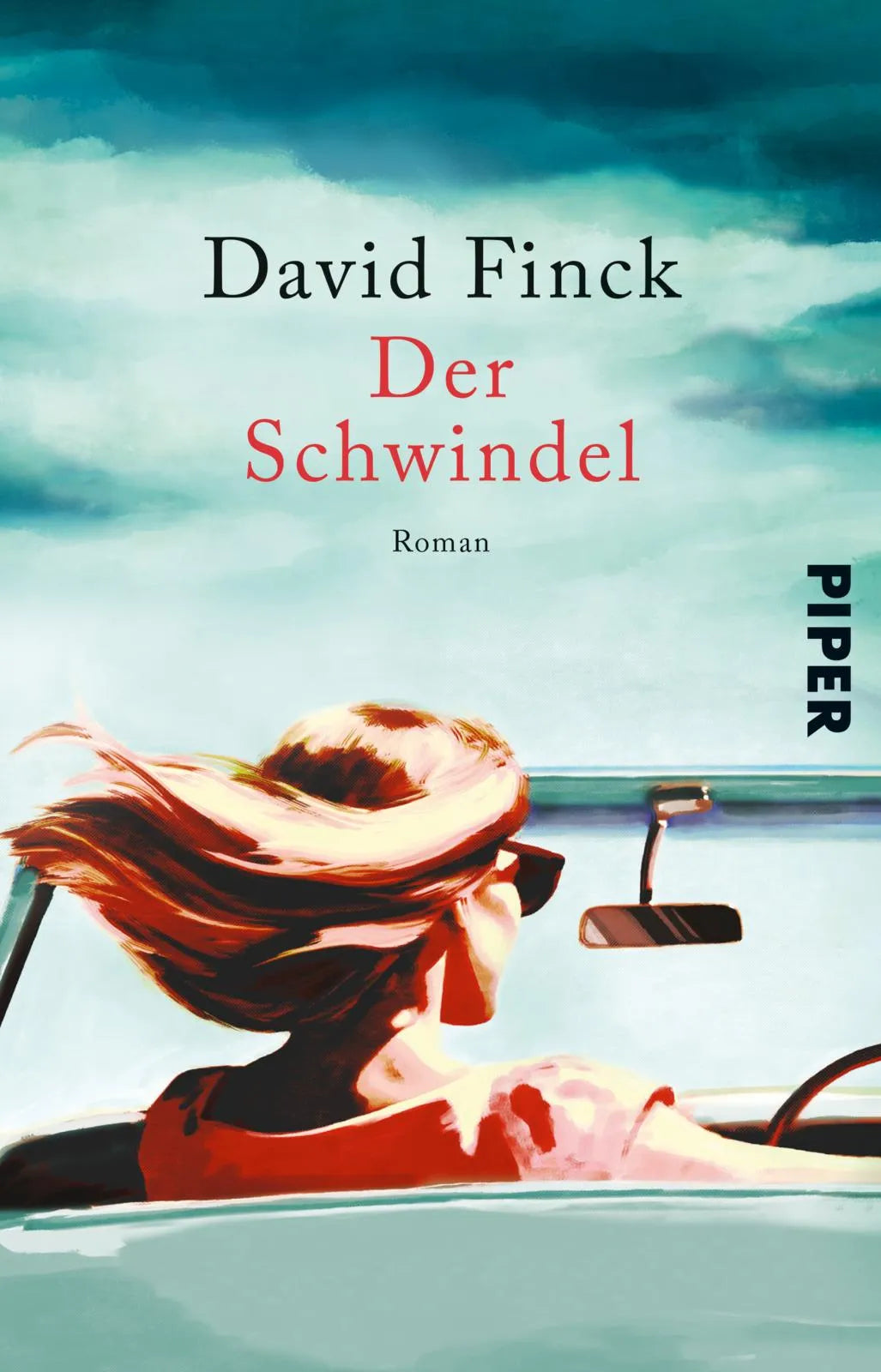 Buchcover von 'Der Schwindel' - Taschenbuch von David Finck