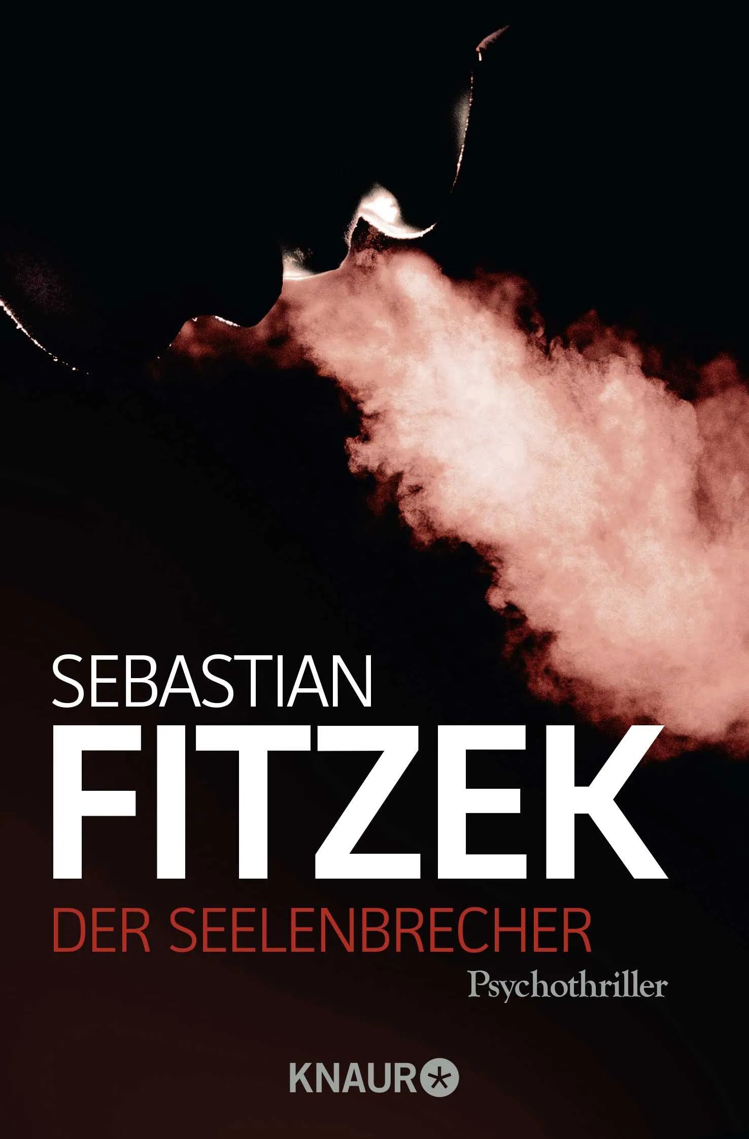 Buchcover von 'Der Seelenbrecher' - Taschenbuch von Sebastian Fitzek