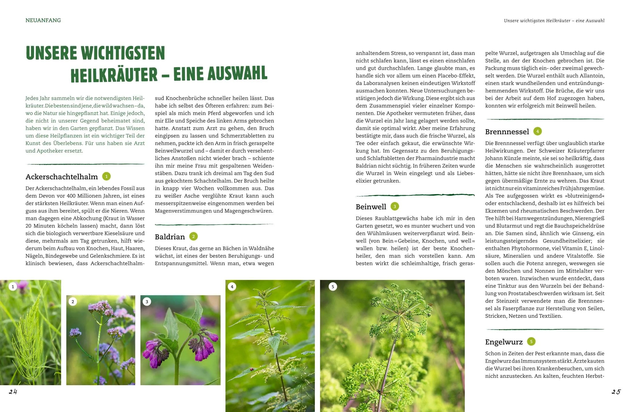 Produktansicht: Der Selbstversorger: Mein Gartenwissen (Gebundene Ausgabe)