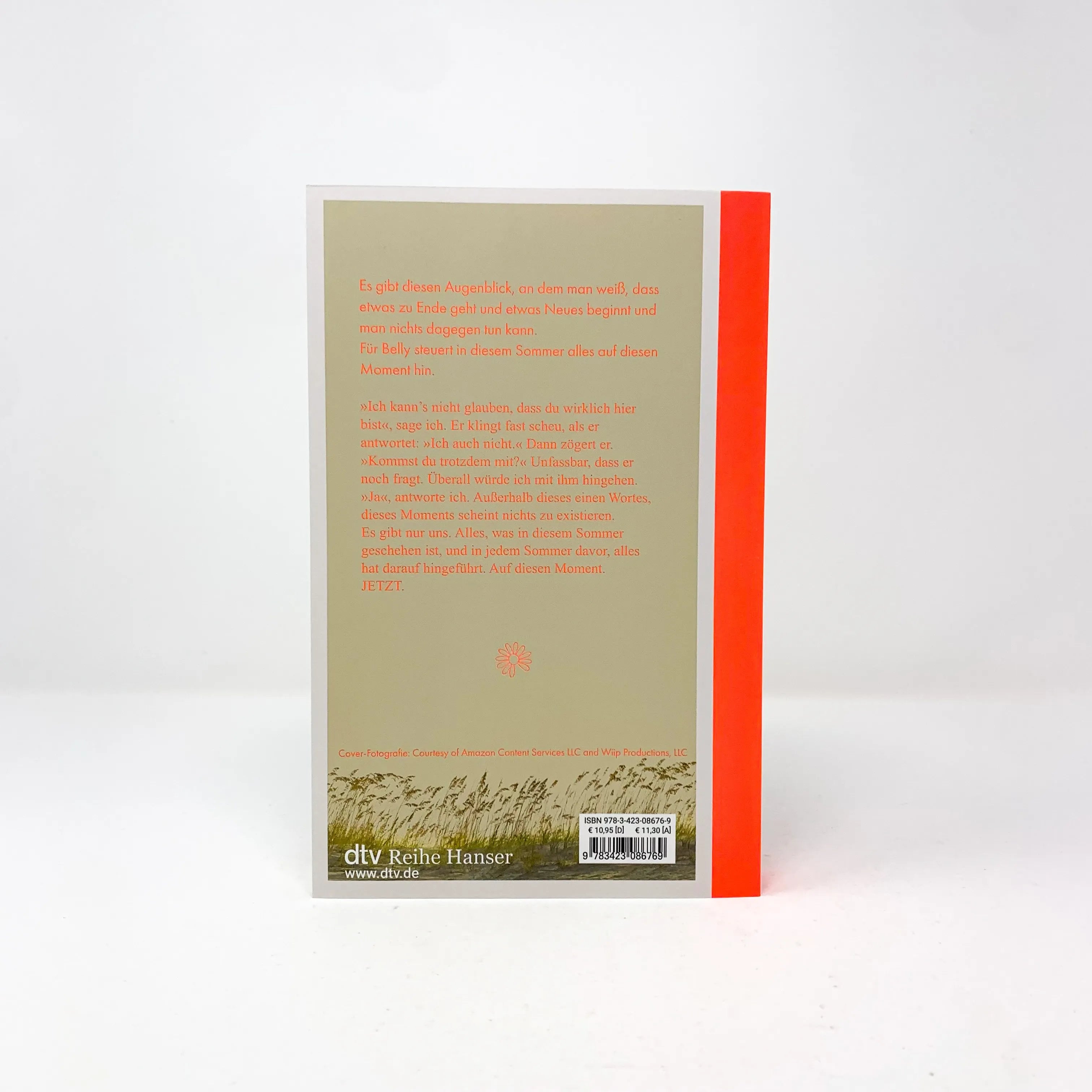 Detailansicht: Der Sommer, als ich schön wurde (Taschenbuch)