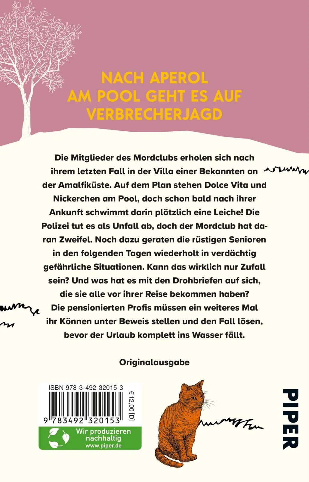 Buchrückseite von 'Der Sommermordclub' mit Klappentext - Taschenbuch