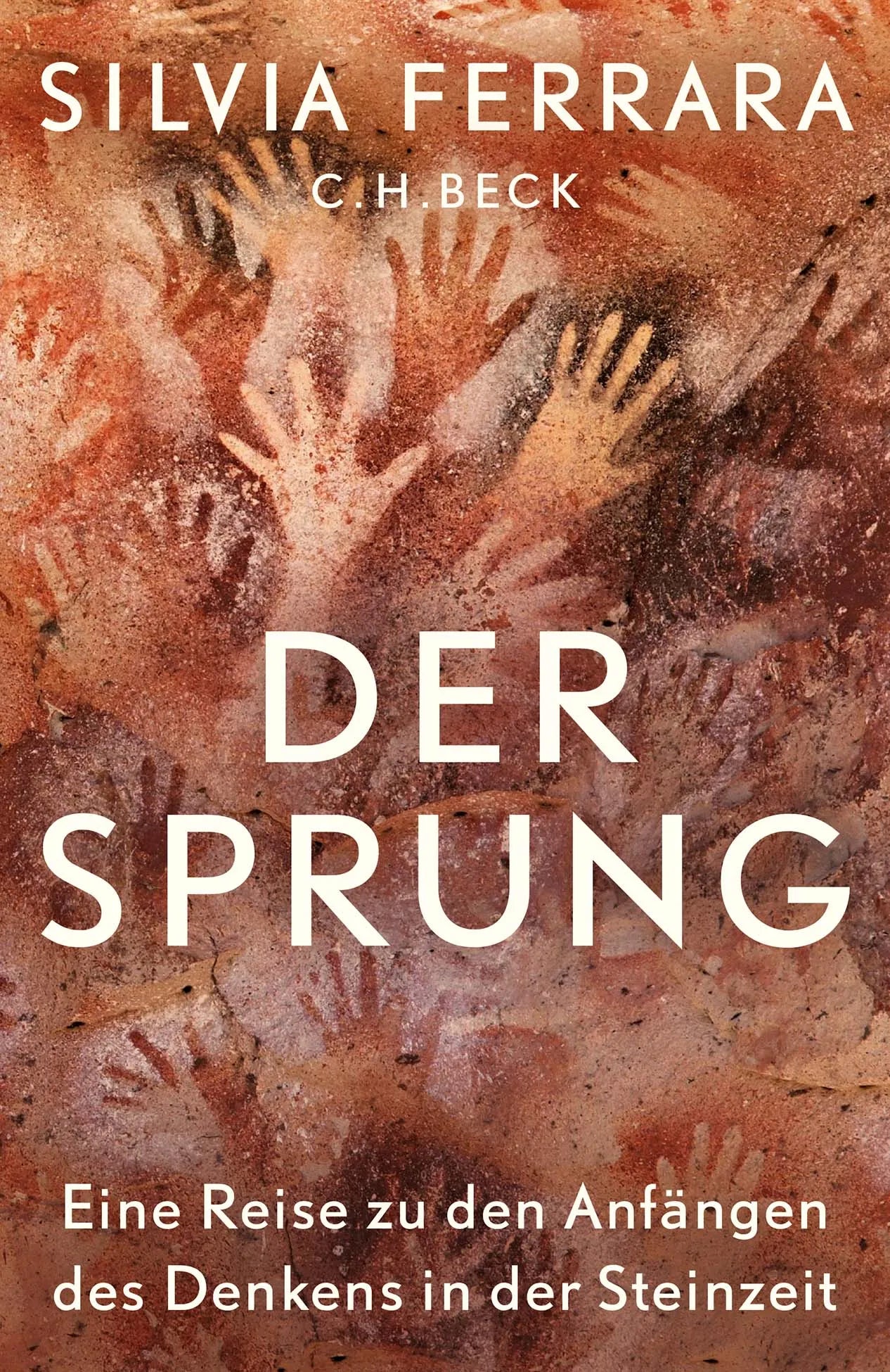 Buchcover von 'Der Sprung' - Gebundene Ausgabe von Silvia Ferrara