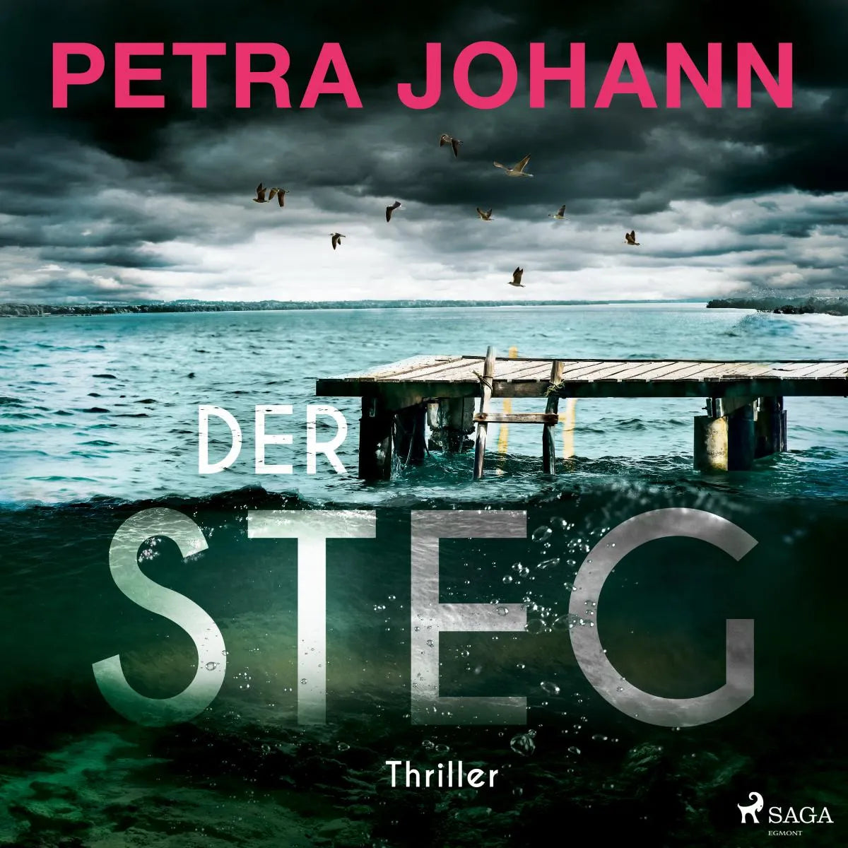 Cover: Der Steg (Hörbuch Download) von Petra Johann