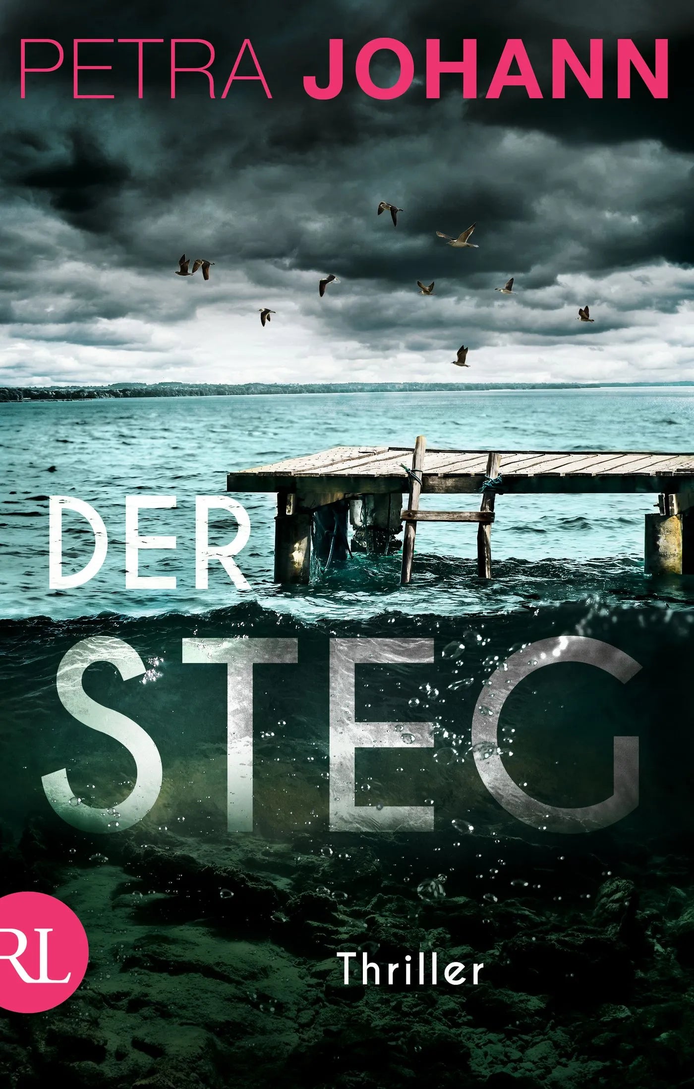 Buchcover von 'Der Steg' - Taschenbuch von Petra Johann