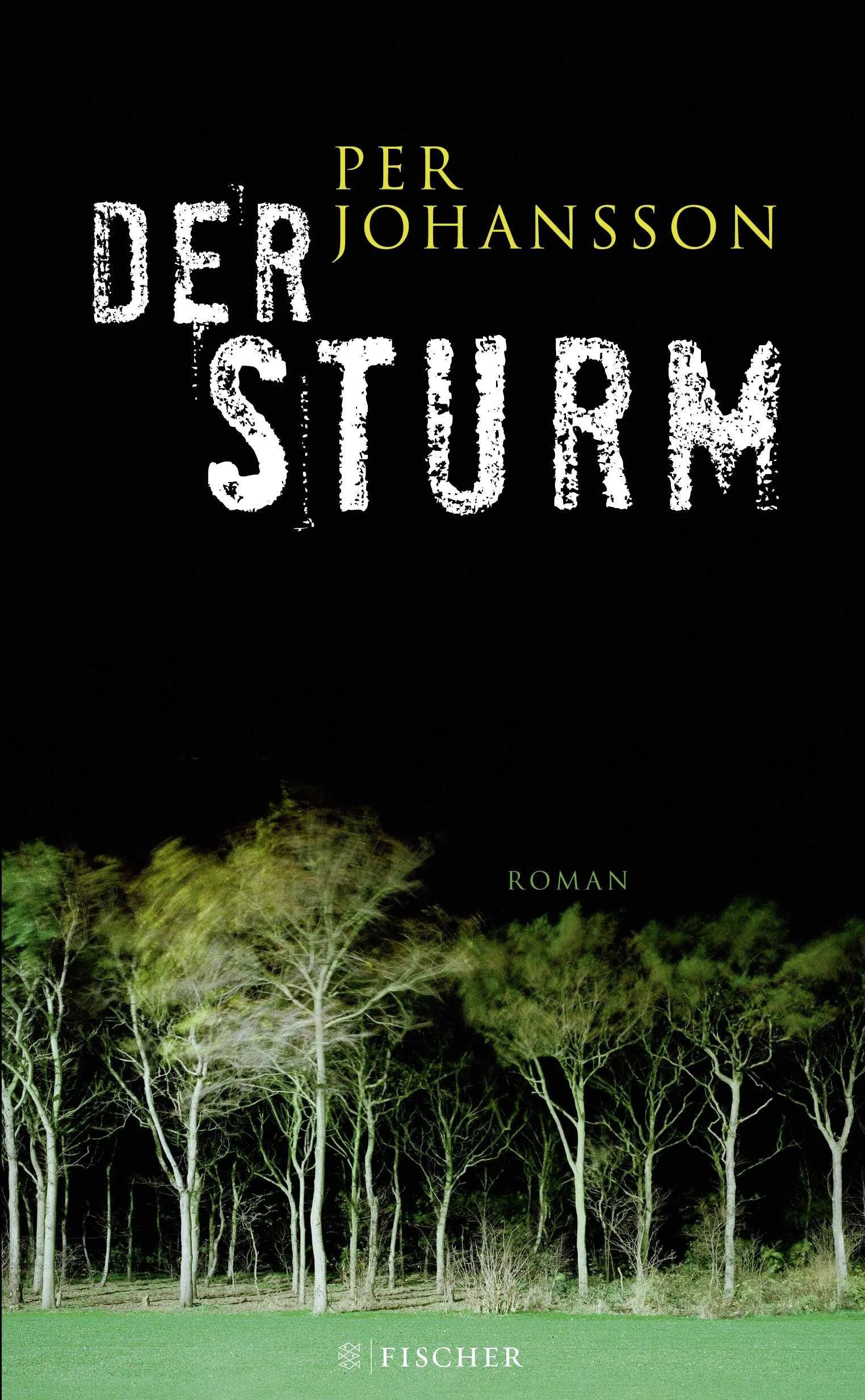 Buchcover von 'Der Sturm' - Gebundene Ausgabe von Per Johansson