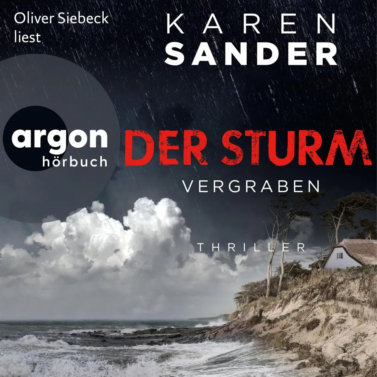 Cover: Der Sturm: Vergraben (Hörbuch Download) von Karen Sander