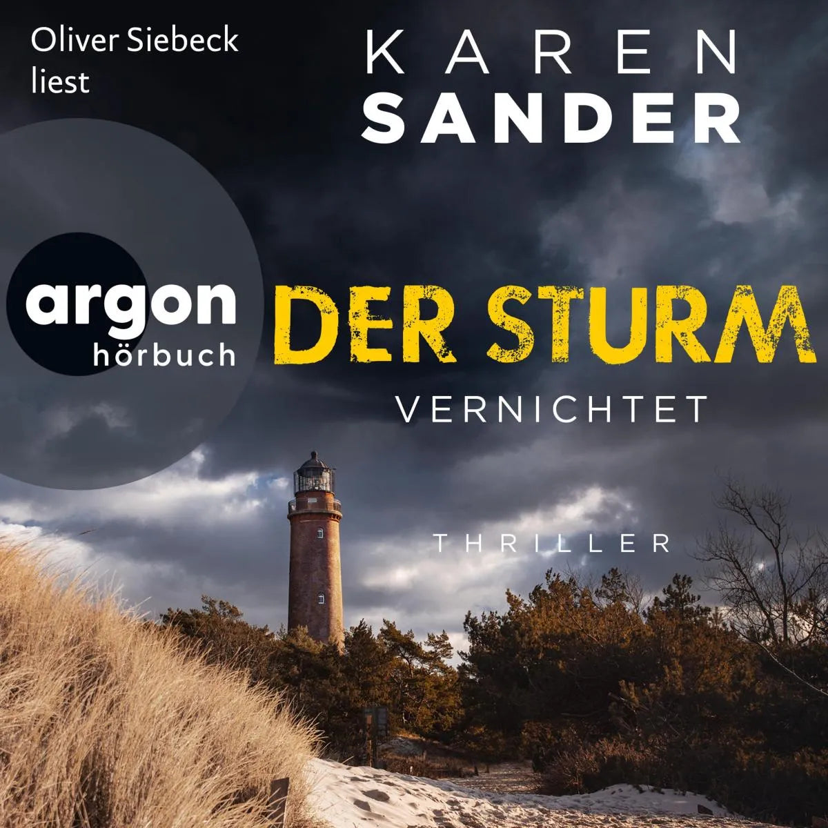 Cover: Der Sturm: Vernichtet (Hörbuch Download) von Karen Sander