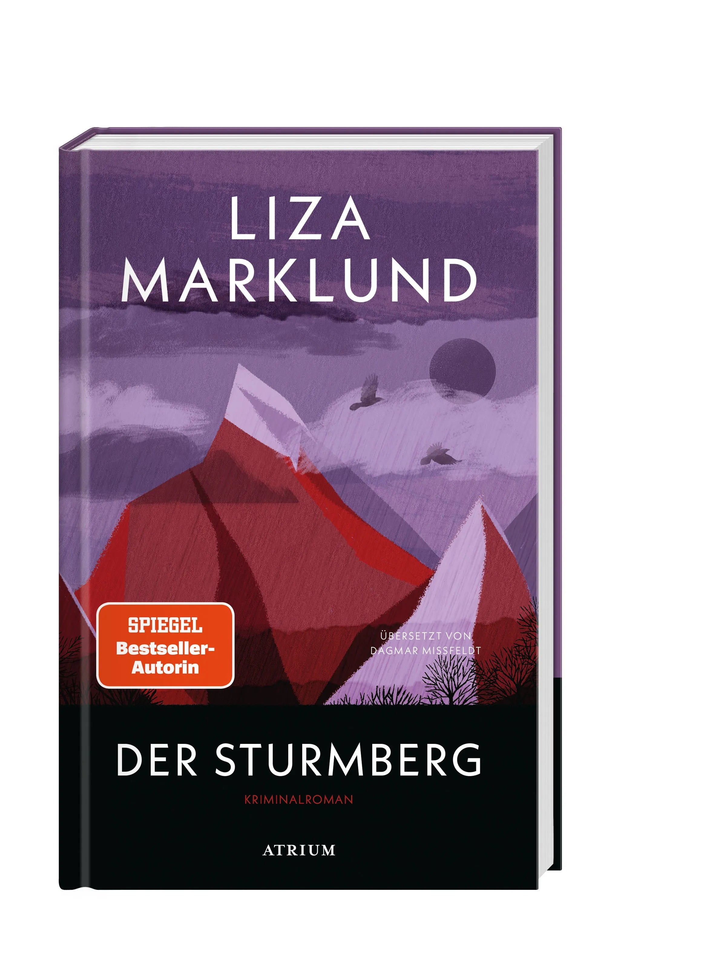Detailansicht: Der Sturmberg (Hardcover)