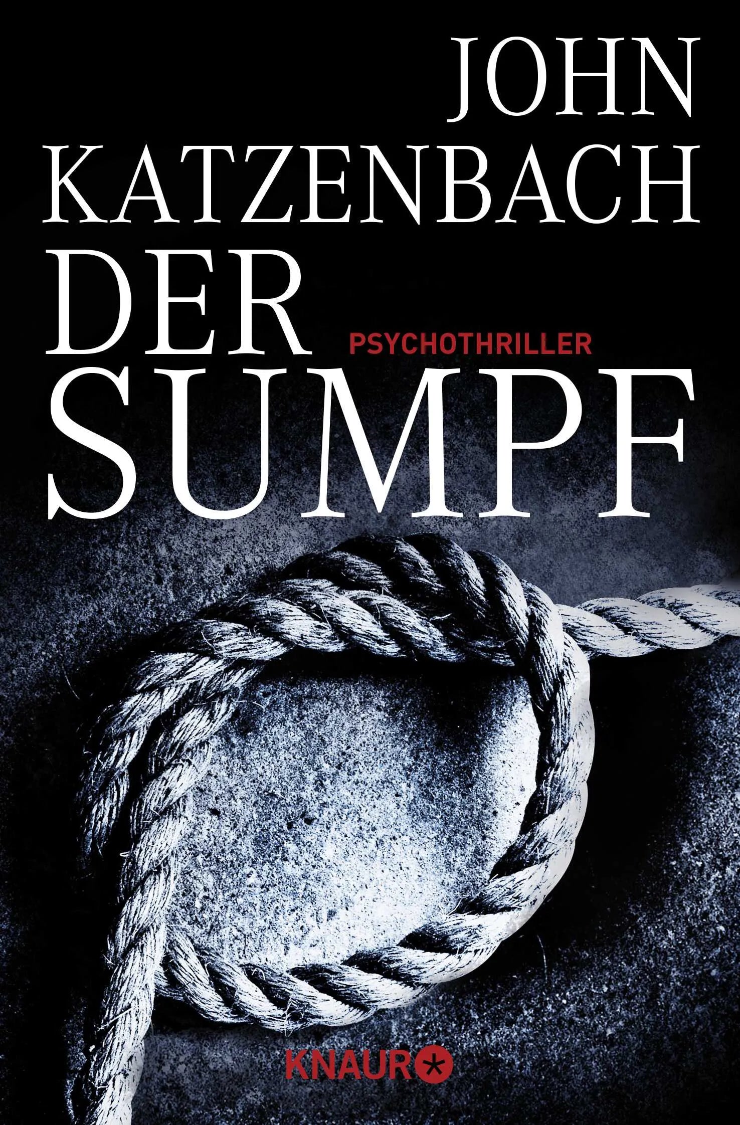 Buchcover von 'Der Sumpf' - Taschenbuch von John Katzenbach