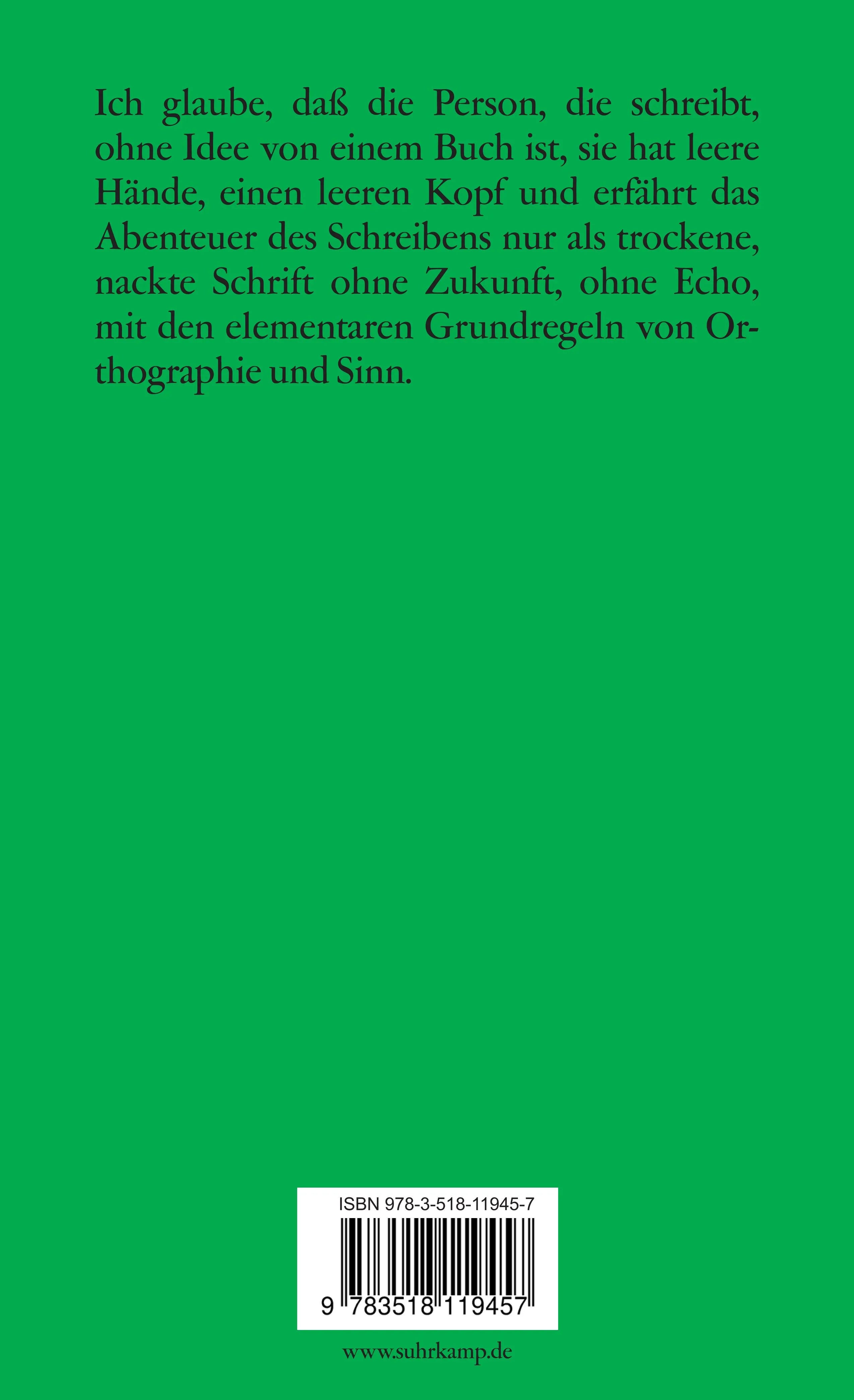Buchrückseite von 'Der Tod des jungen englischen Fliegers' mit Klappentext - Taschenbuch