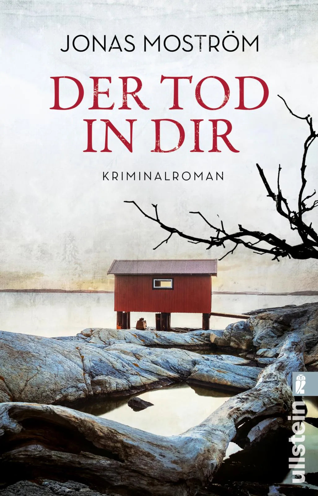 Produktansicht: Der Tod in dir (Taschenbuch)