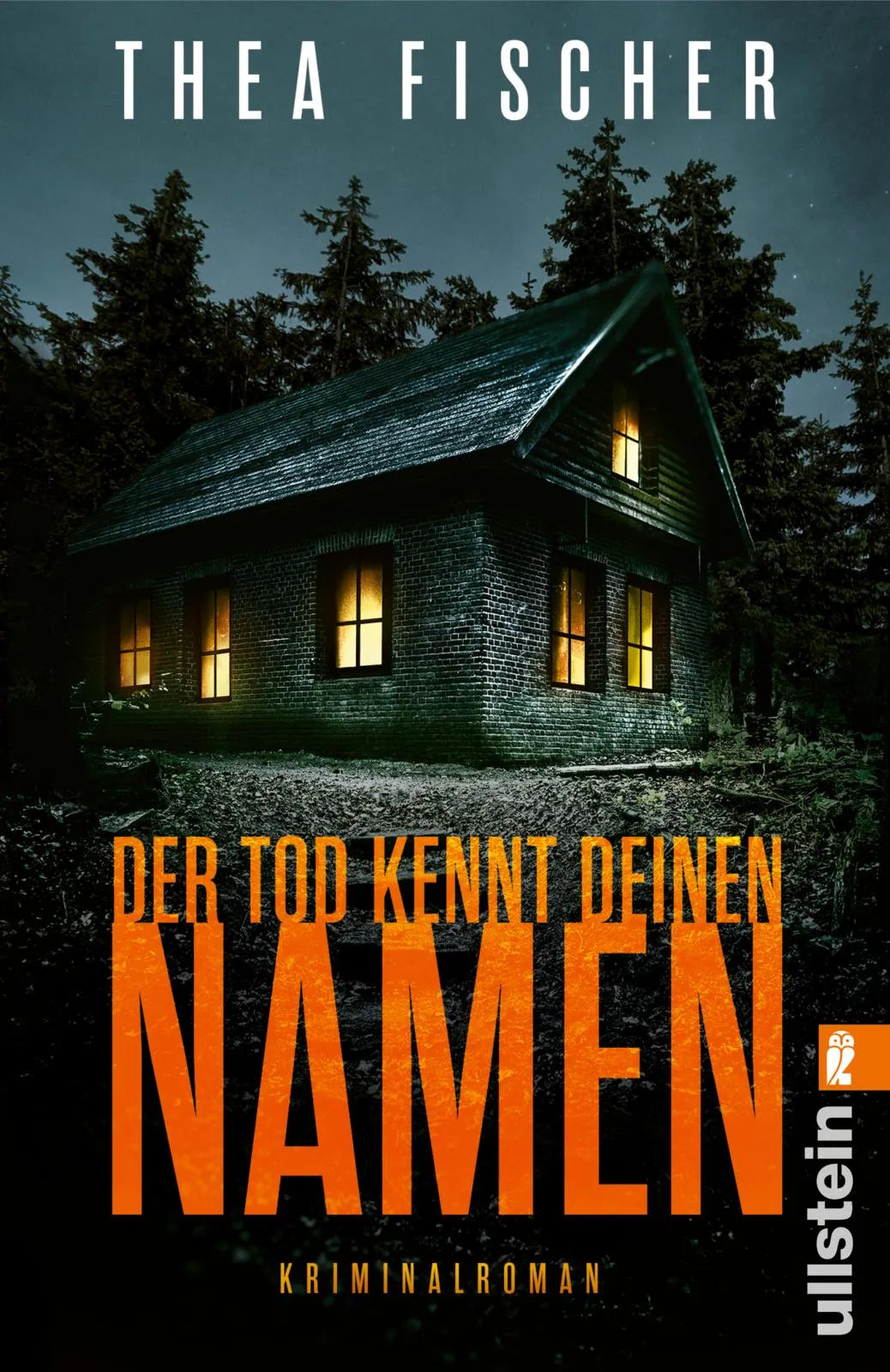 Buchcover von 'Der Tod kennt deinen Namen' - Taschenbuch von Thea Fischer