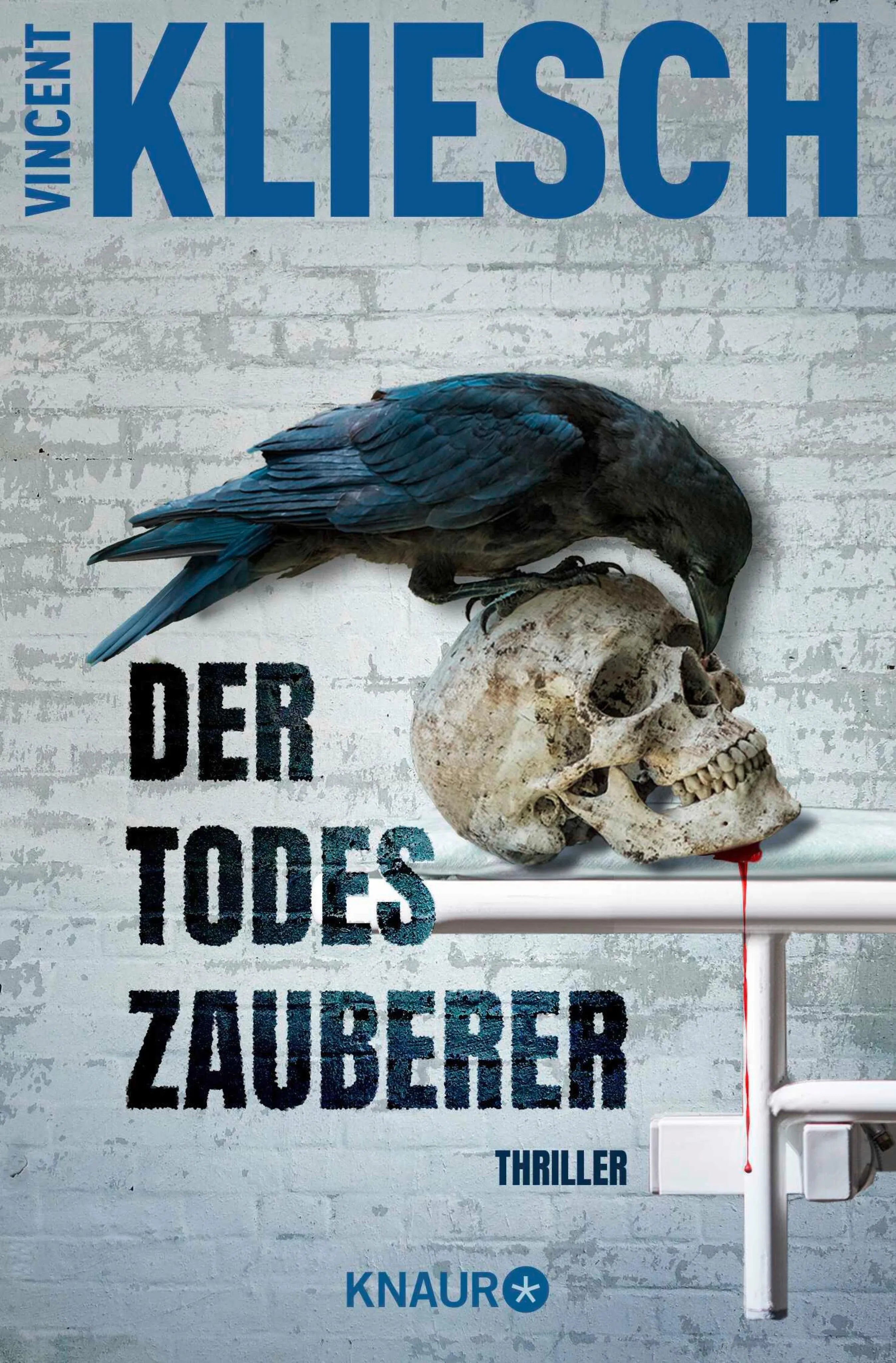 Cover: Der Todeszauberer (E-Book) von Vincent Kliesch