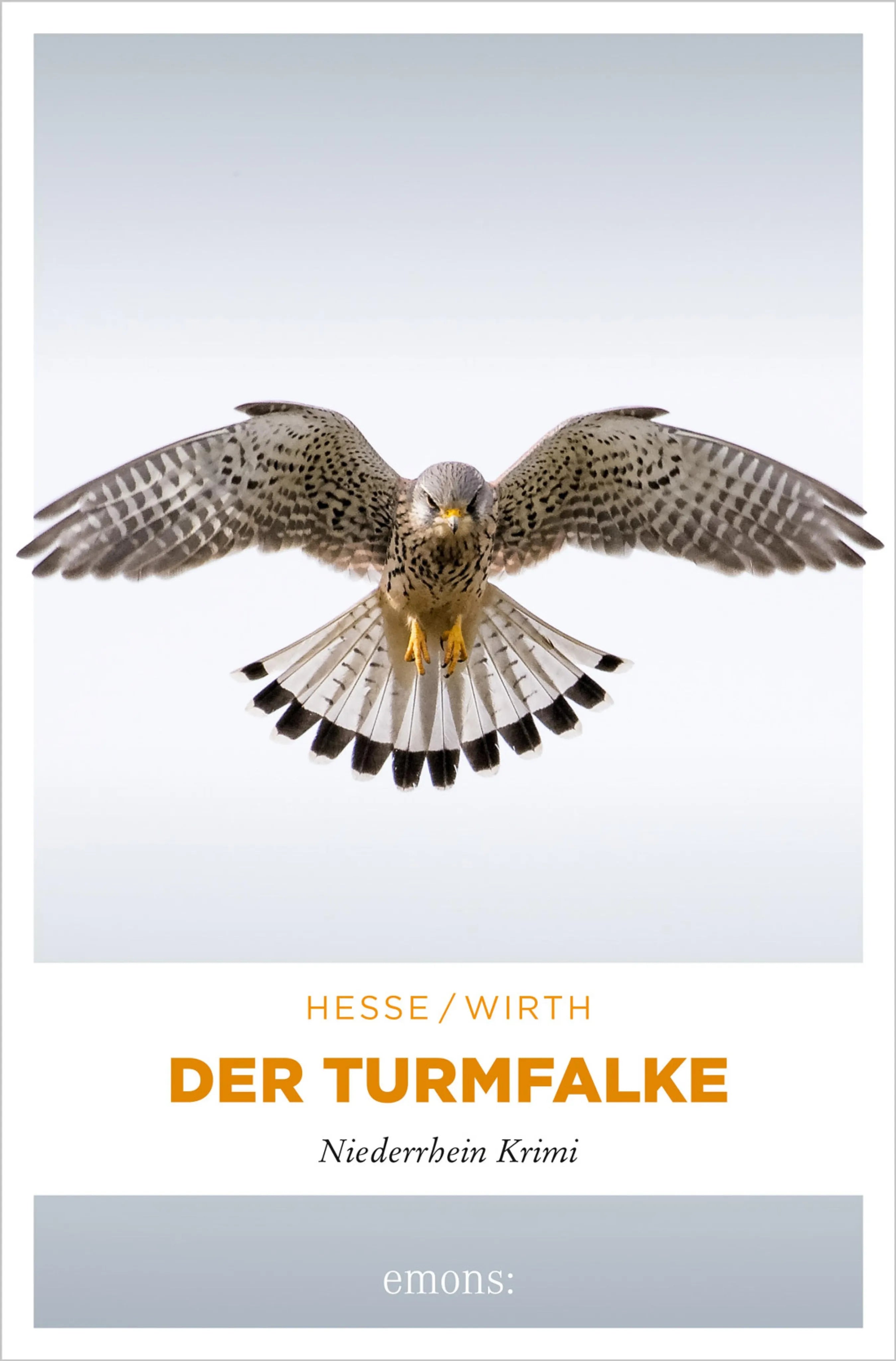 Cover: Der Turmfalke (E-Book) von Thomas Hesse