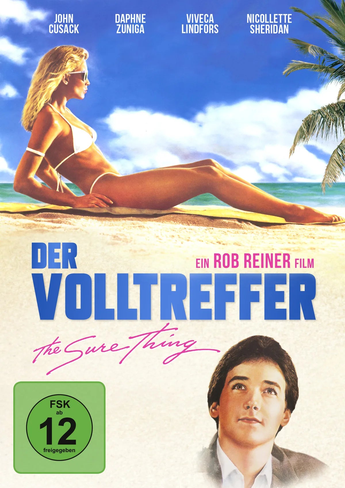 Der Volltreffer - DVD