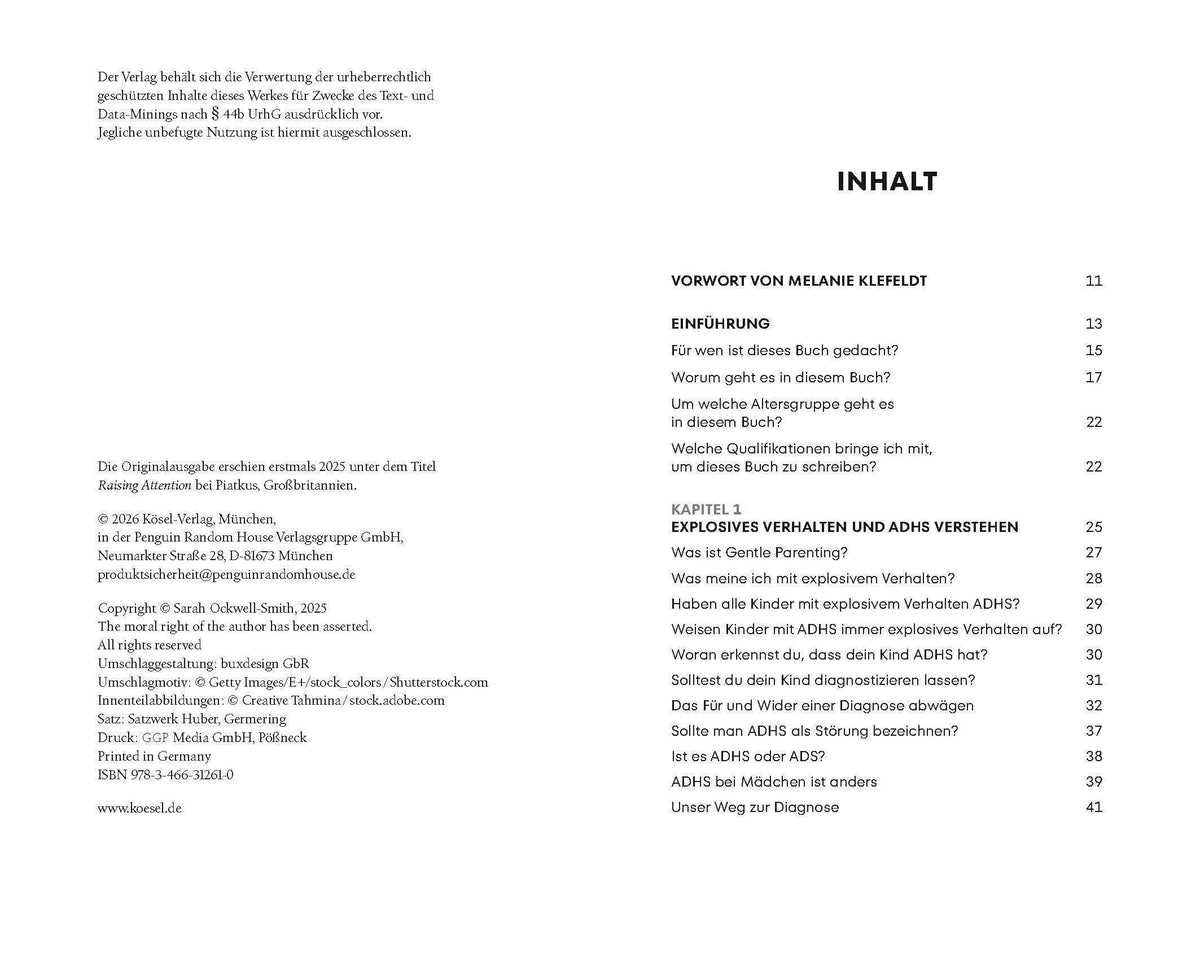 Detailansicht: Der Vulkan in meinem Kind (Paperback)