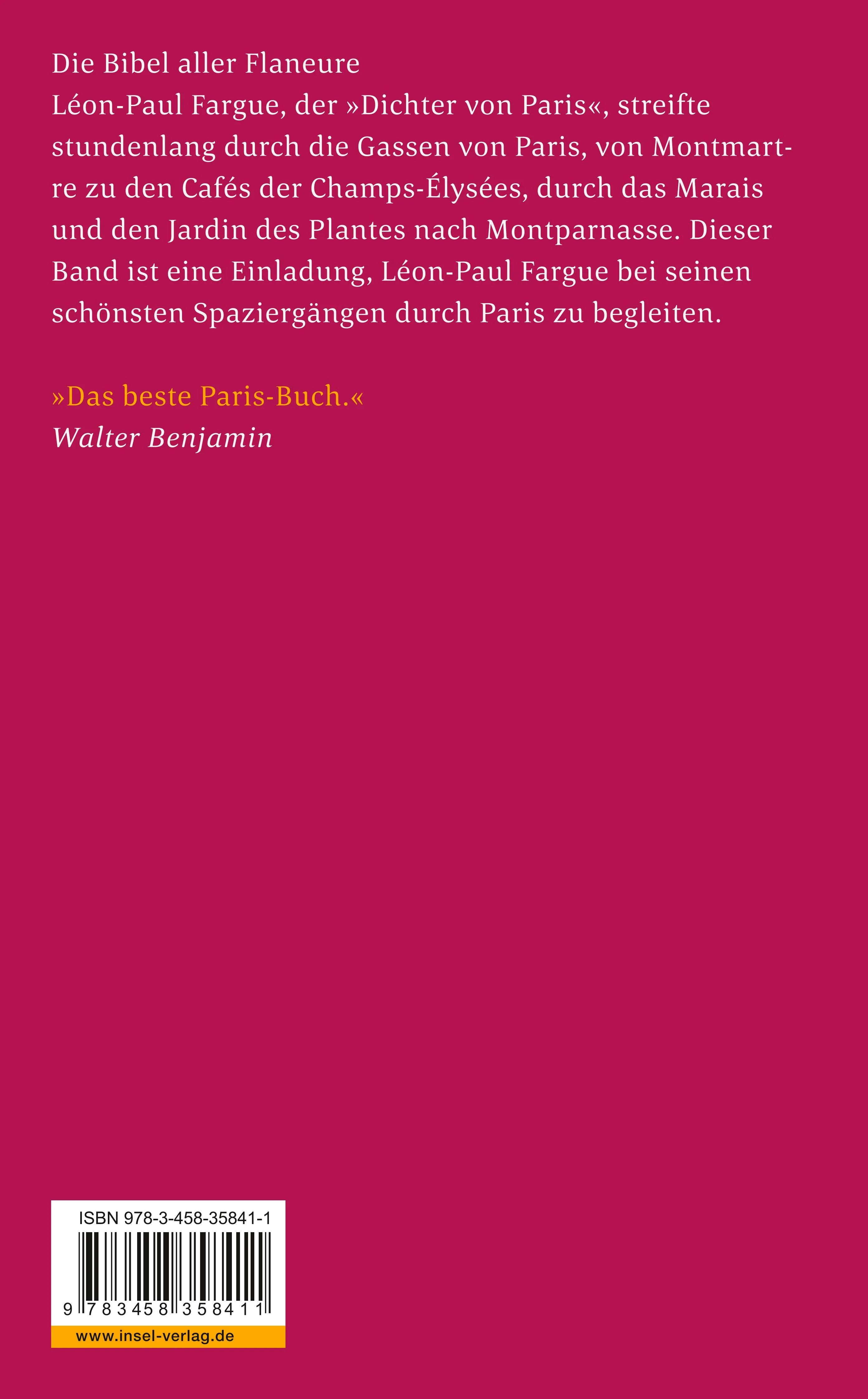 Buchrückseite von 'Der Wanderer durch Paris' mit Klappentext - Taschenbuch