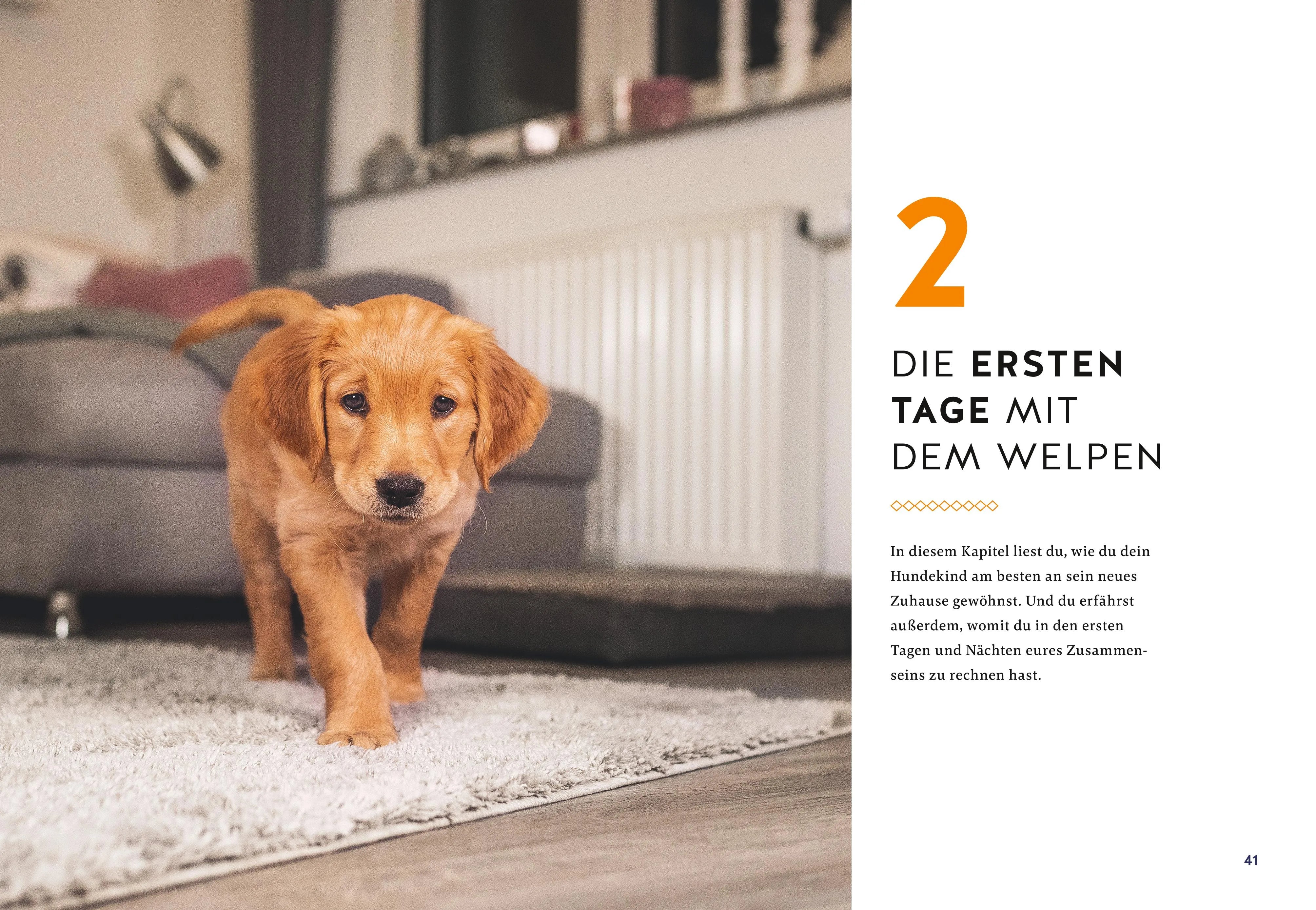 Petra Frey - Der Welpen-Alltags-Helfer