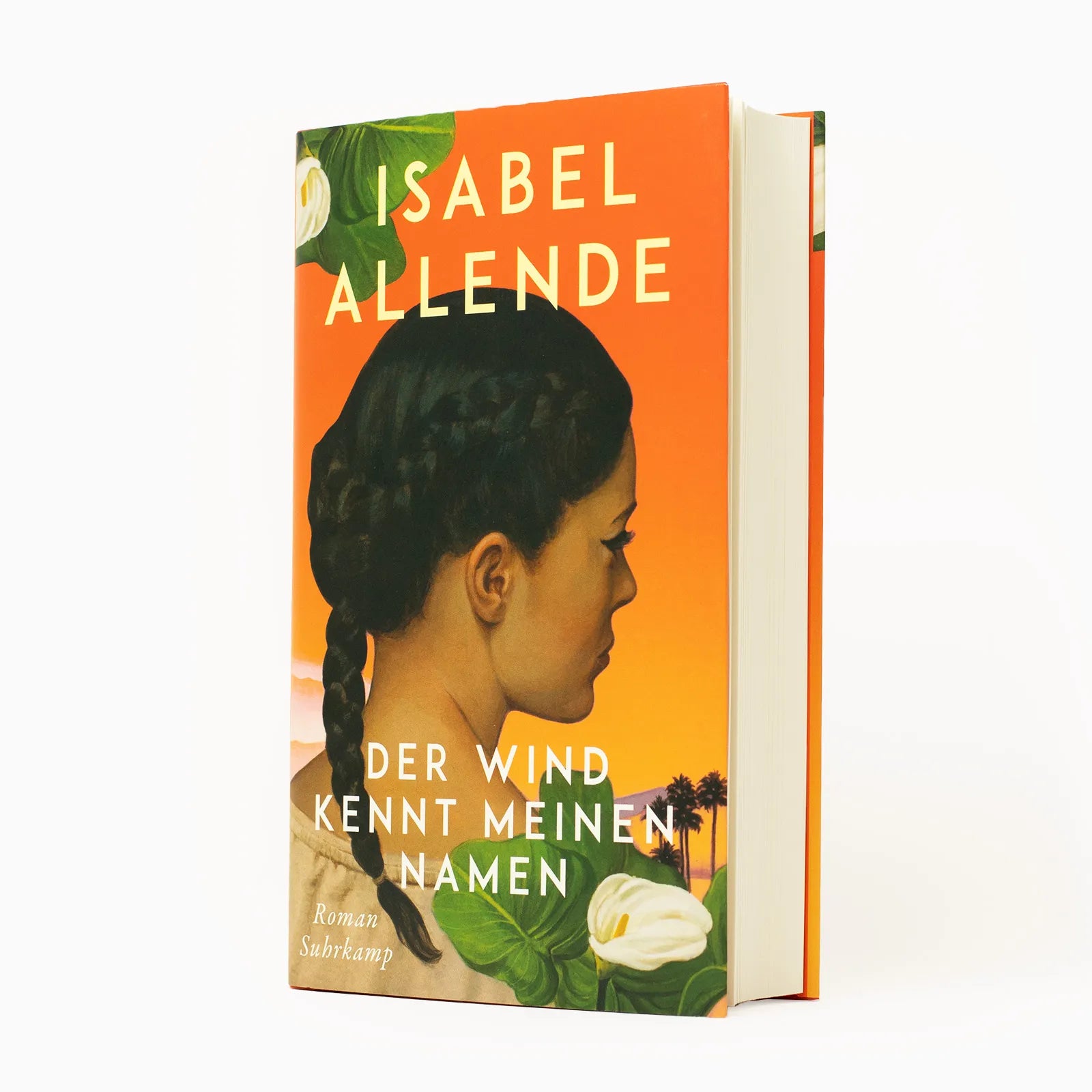 Abbildung von 'Der Wind kennt meinen Namen'
