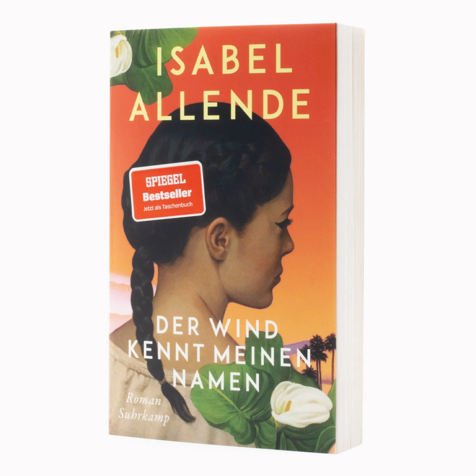 Detailansicht: Der Wind kennt meinen Namen (Taschenbuch)