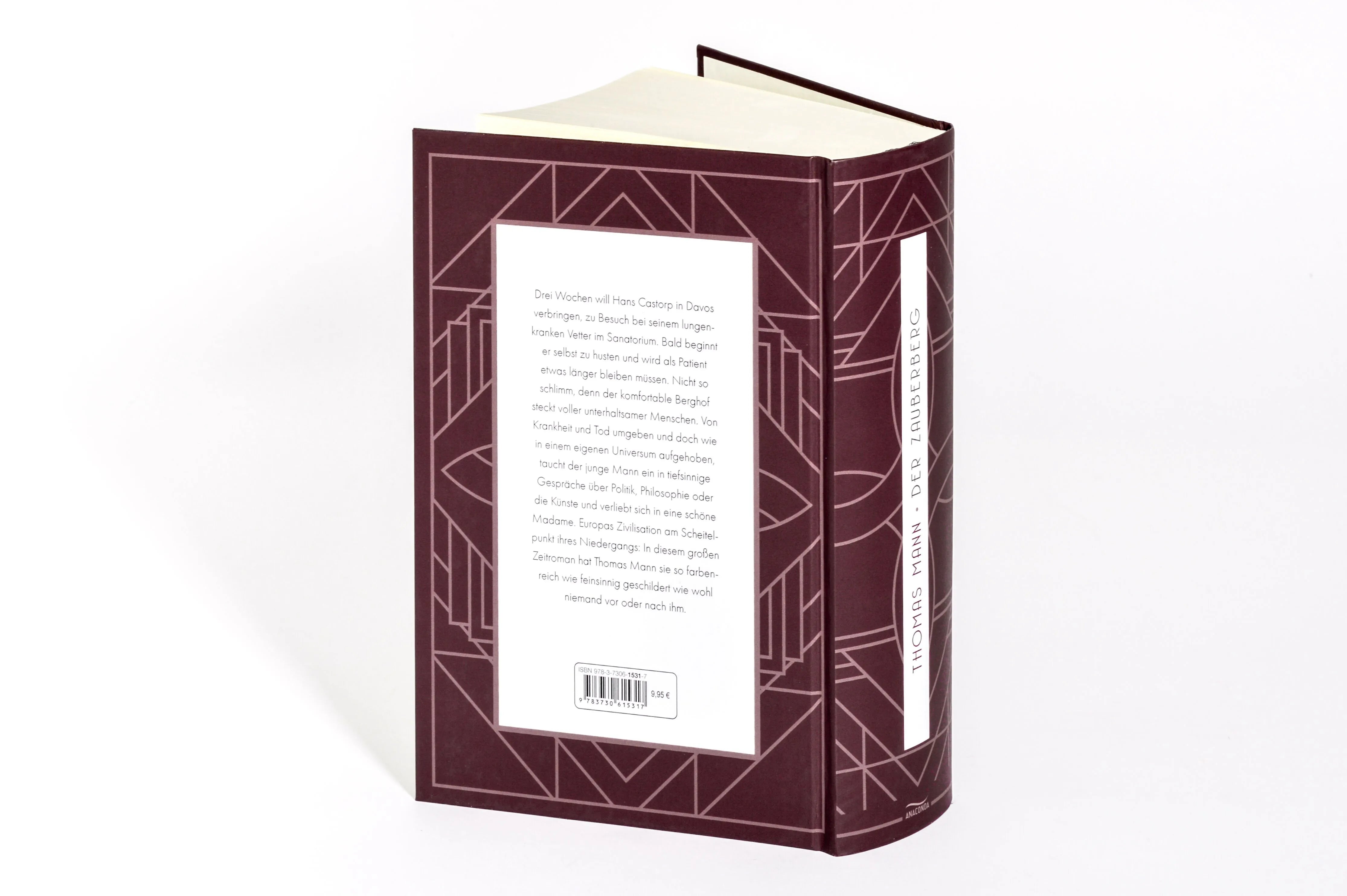 Detailansicht: Der Zauberberg. Roman (Hardcover)