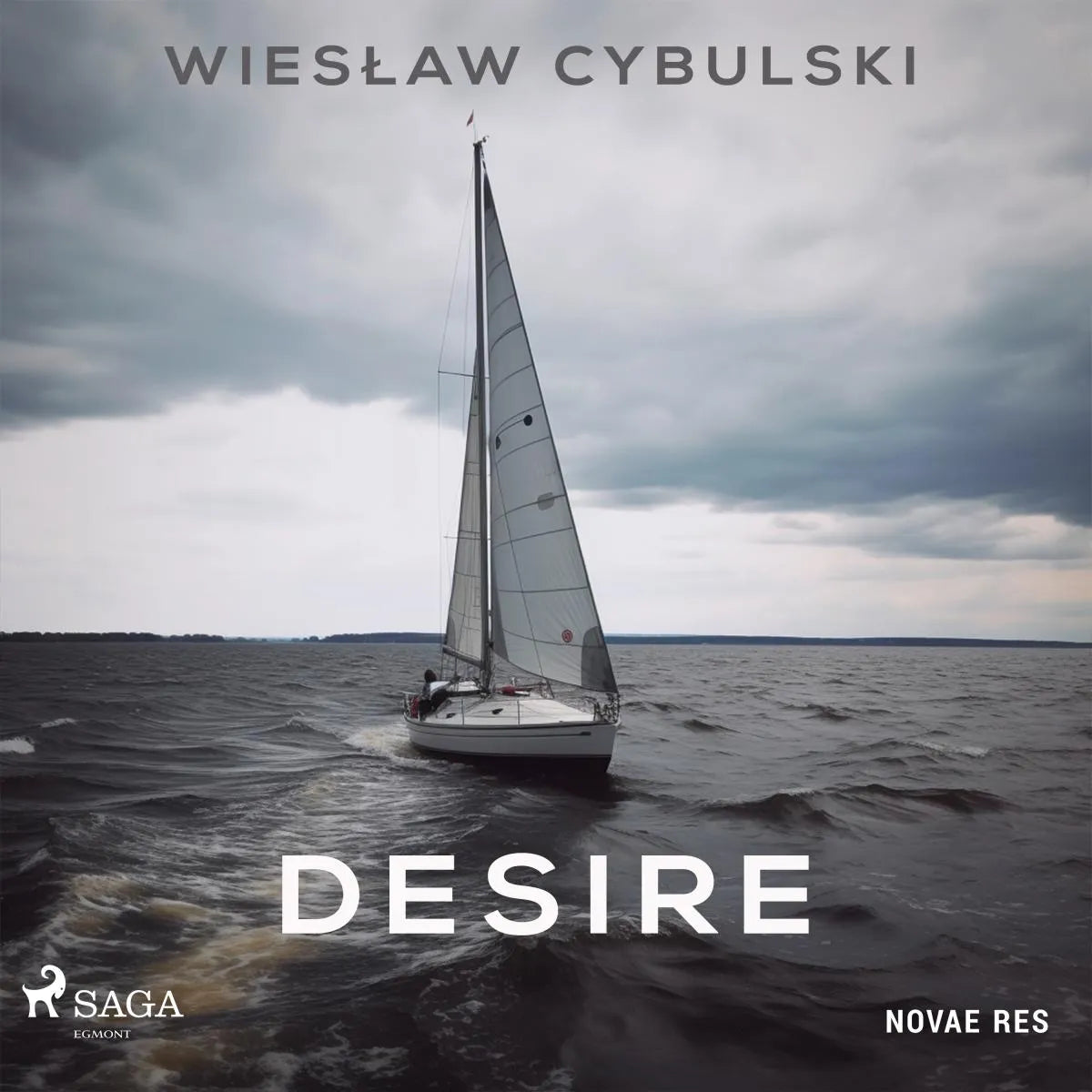 Cover: Desire (Hörbuch Download) von Wieslaw Cybulski