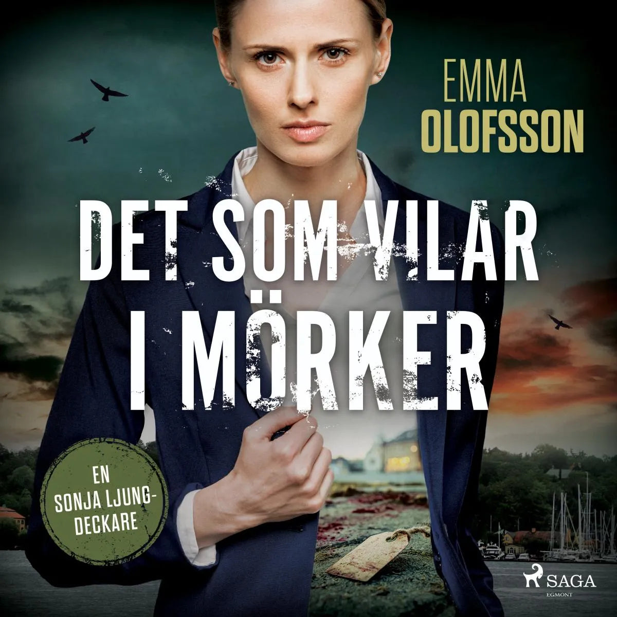 Cover: Det som vilar i mörker (Hörbuch Download) von Emma Olofsson