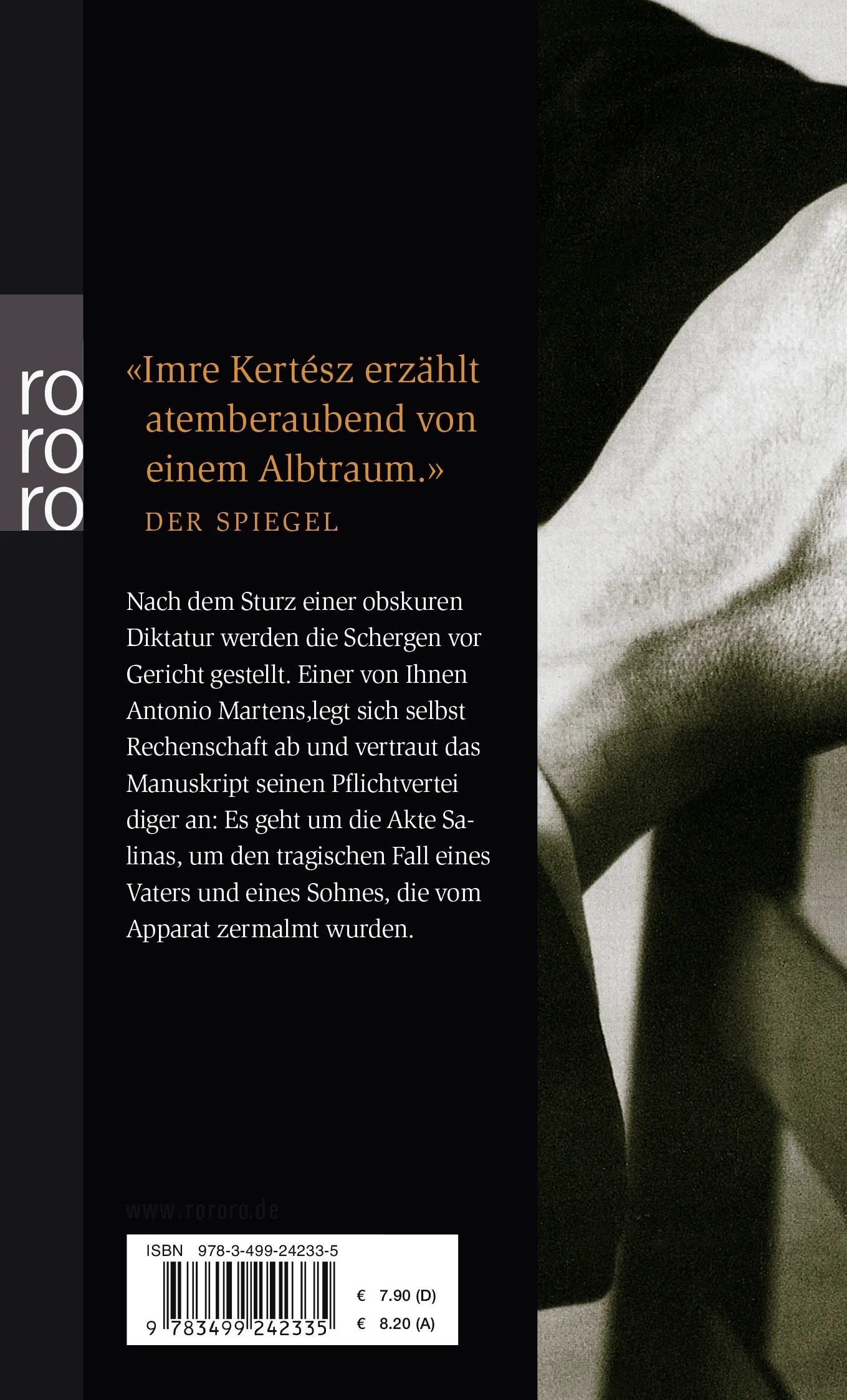Buchrückseite von 'Detektivgeschichte' mit Klappentext - Taschenbuch