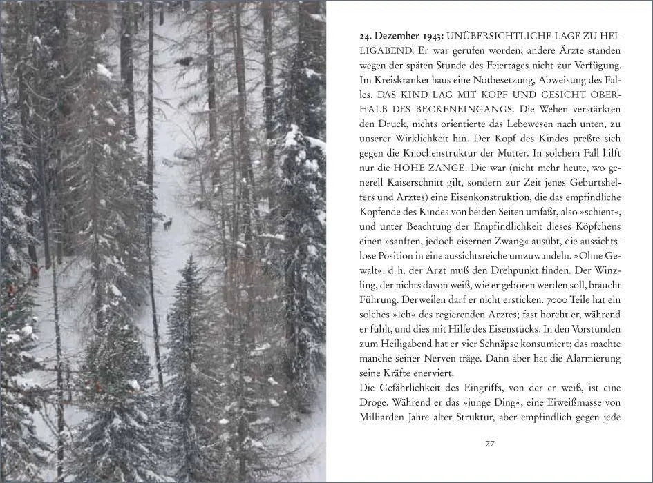 Produktansicht: Dezember (Gebundene Ausgabe)