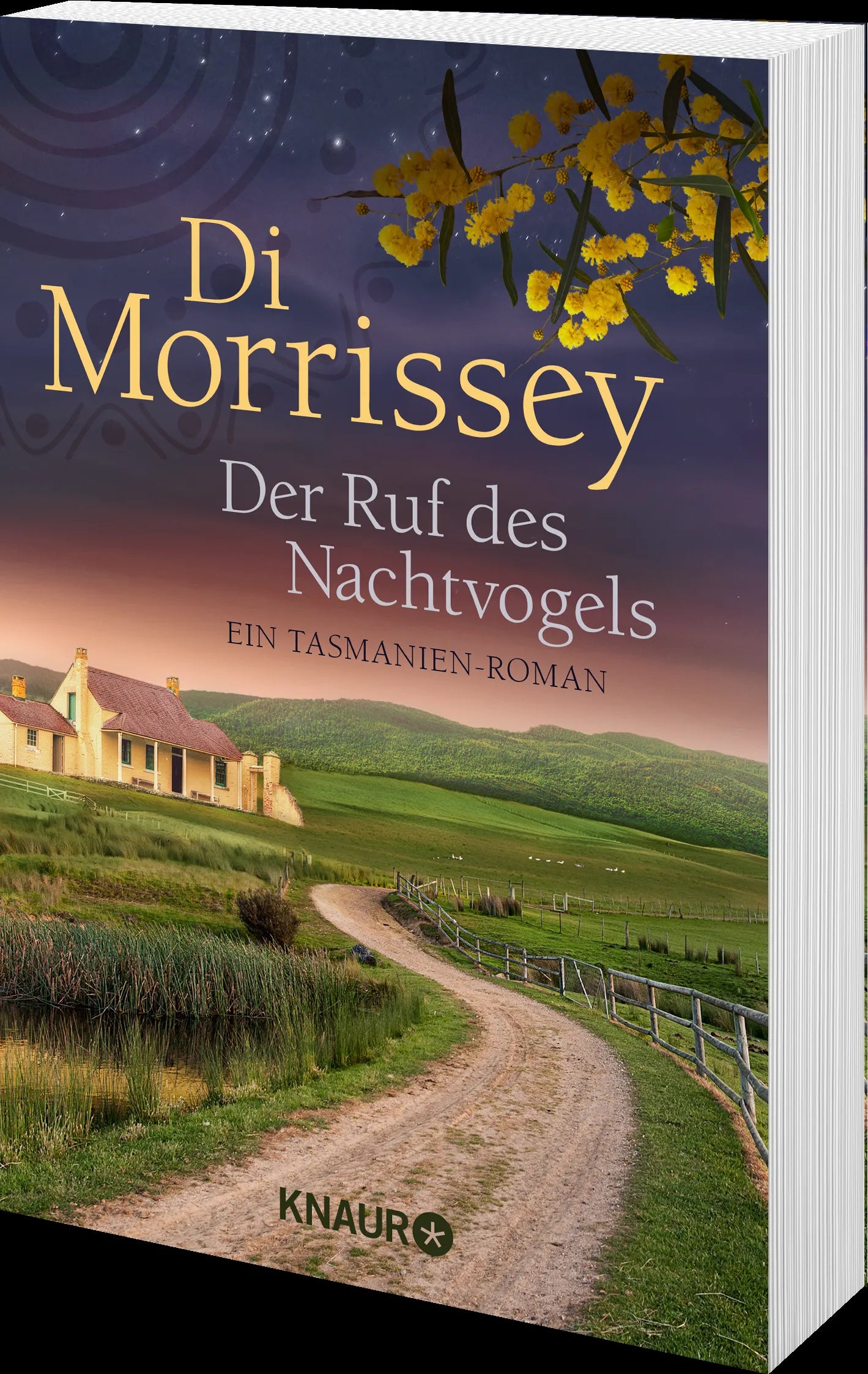 Produktansicht: Der Ruf des Nachtvogels (Taschenbuch)
