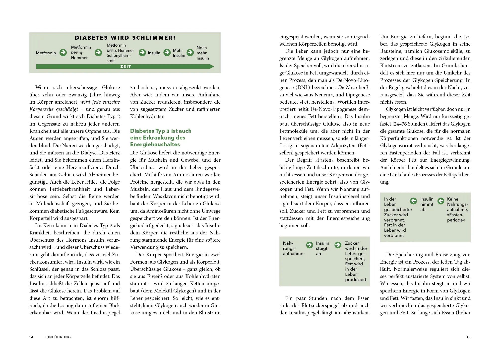 Innenansicht von 'Diabetes rückgängig machen – Das Kochbuch' - Taschenbuch