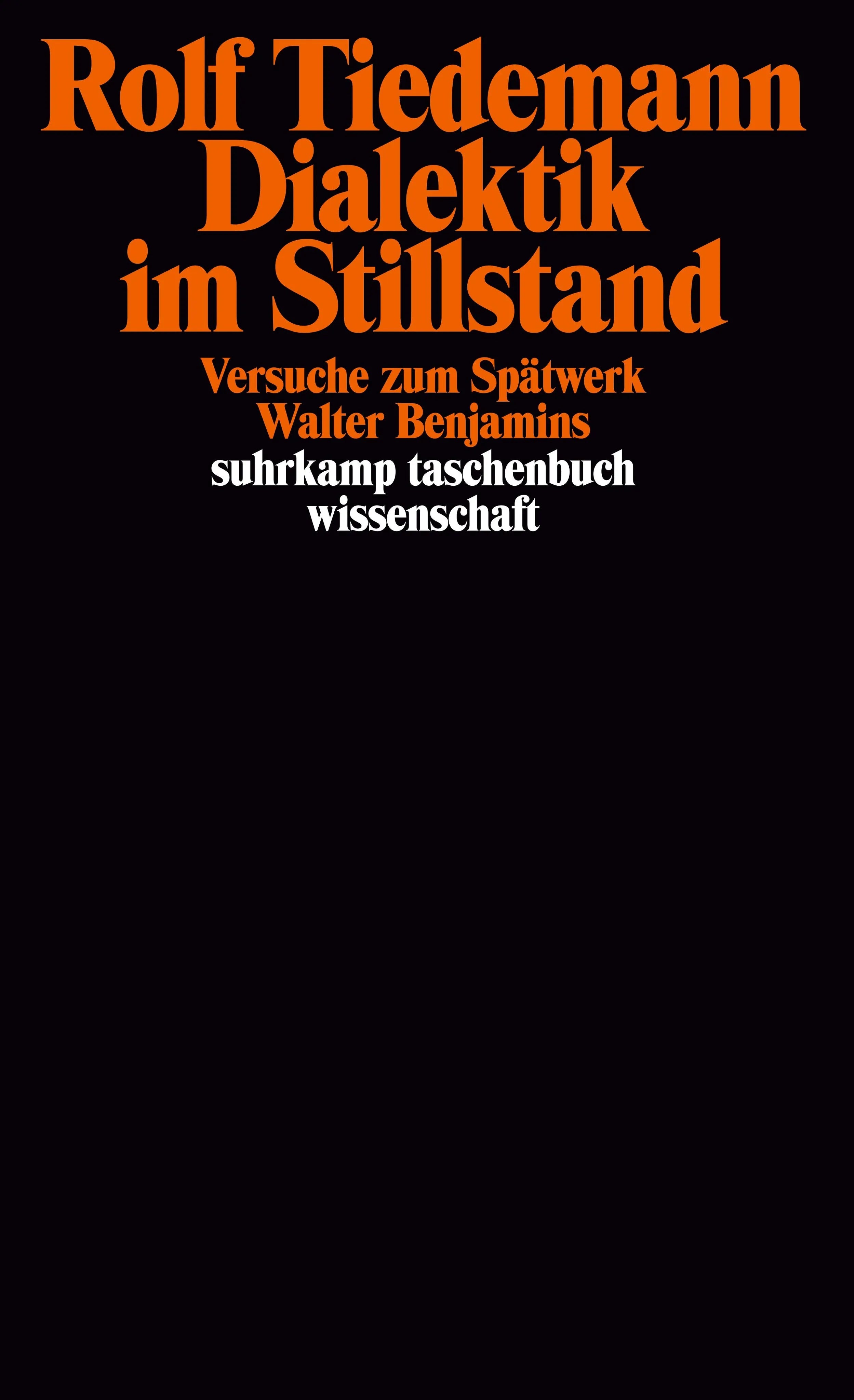 Buchcover von 'Dialektik im Stillstand' - Taschenbuch von Rolf Tiedemann