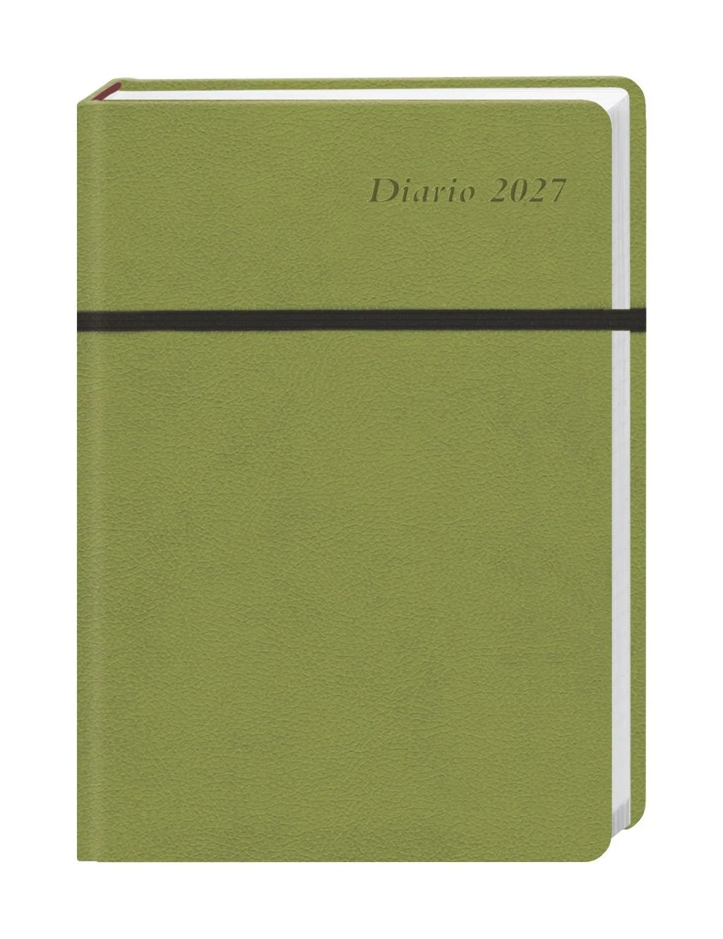 Taschenkalender: Diario Wochen-Kalenderbuch A6, grün 2027