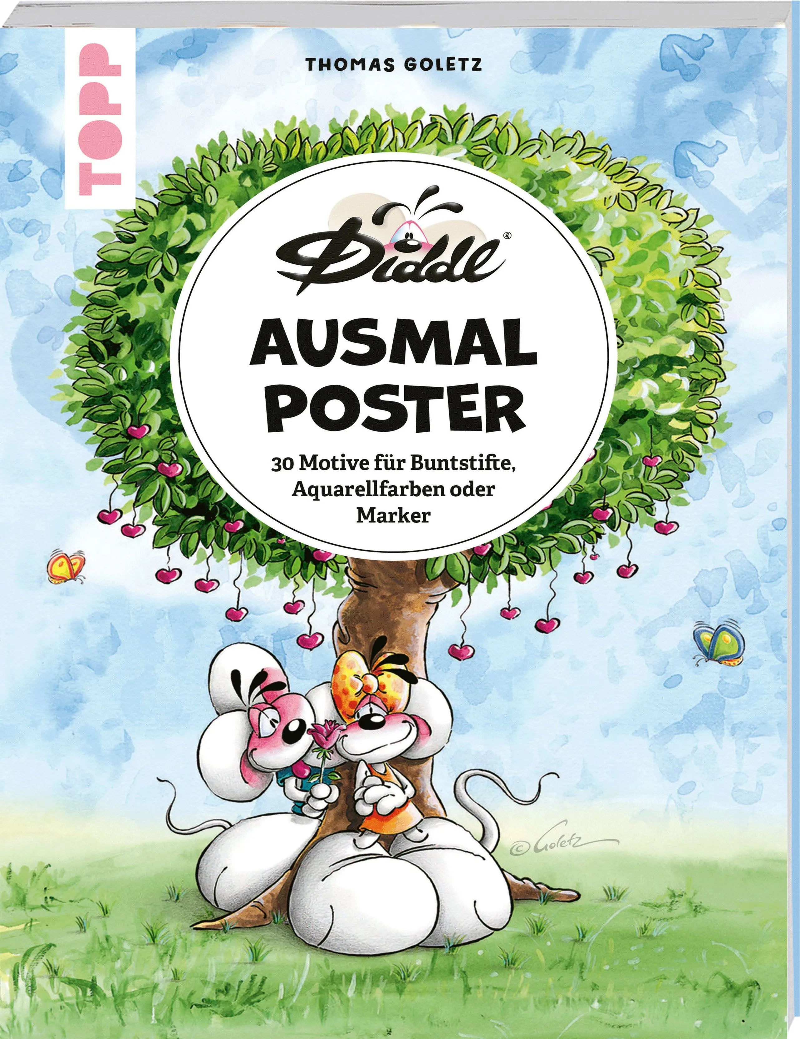 Cover: DIDDL – Ausmalposter (Taschenbuch)