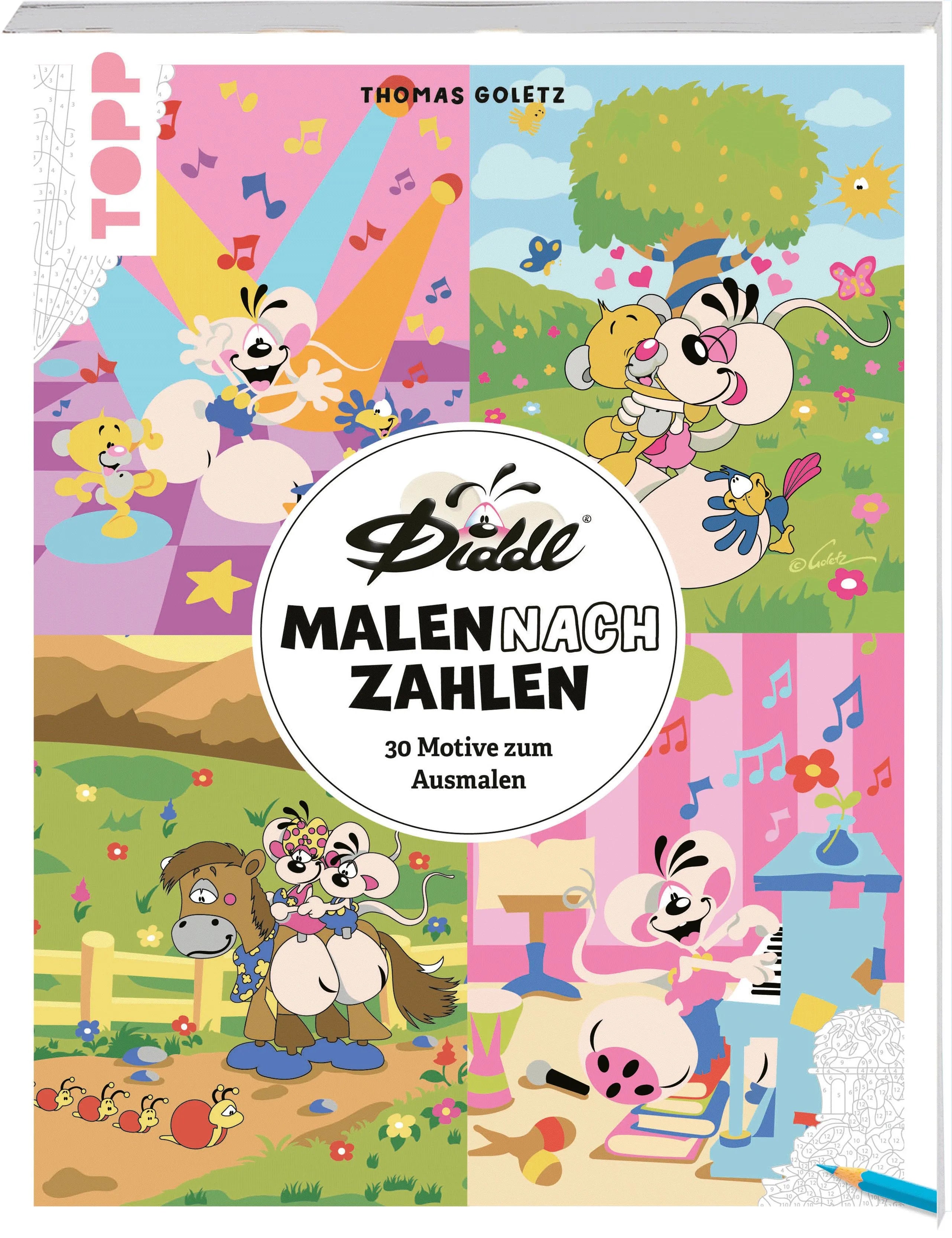 Cover: DIDDL – Malen nach Zahlen (Taschenbuch)